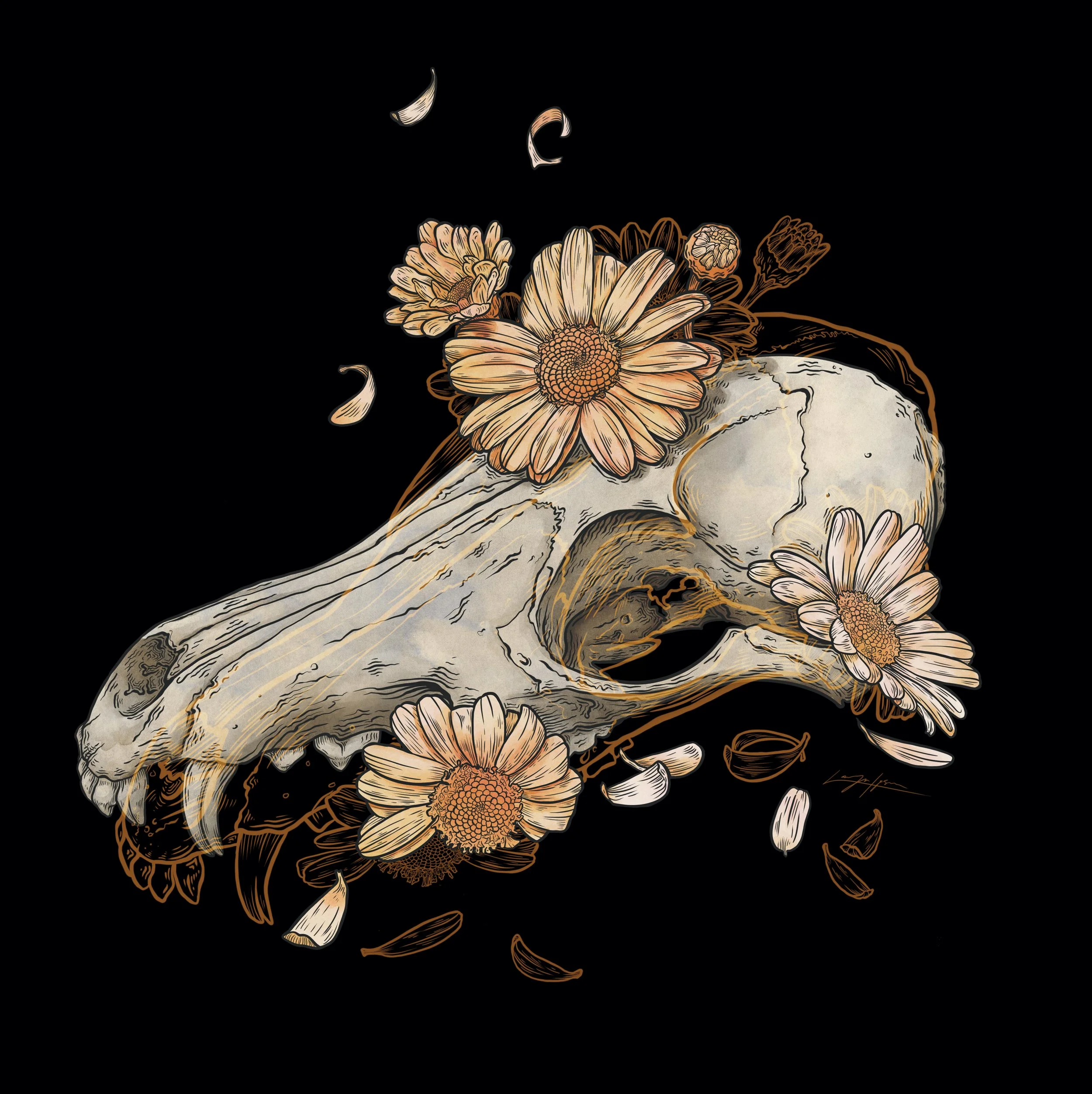 Cream-colored coyote skull surrounded by tan daisies, brown botanical linework, and scattered petals against a solid black background.
