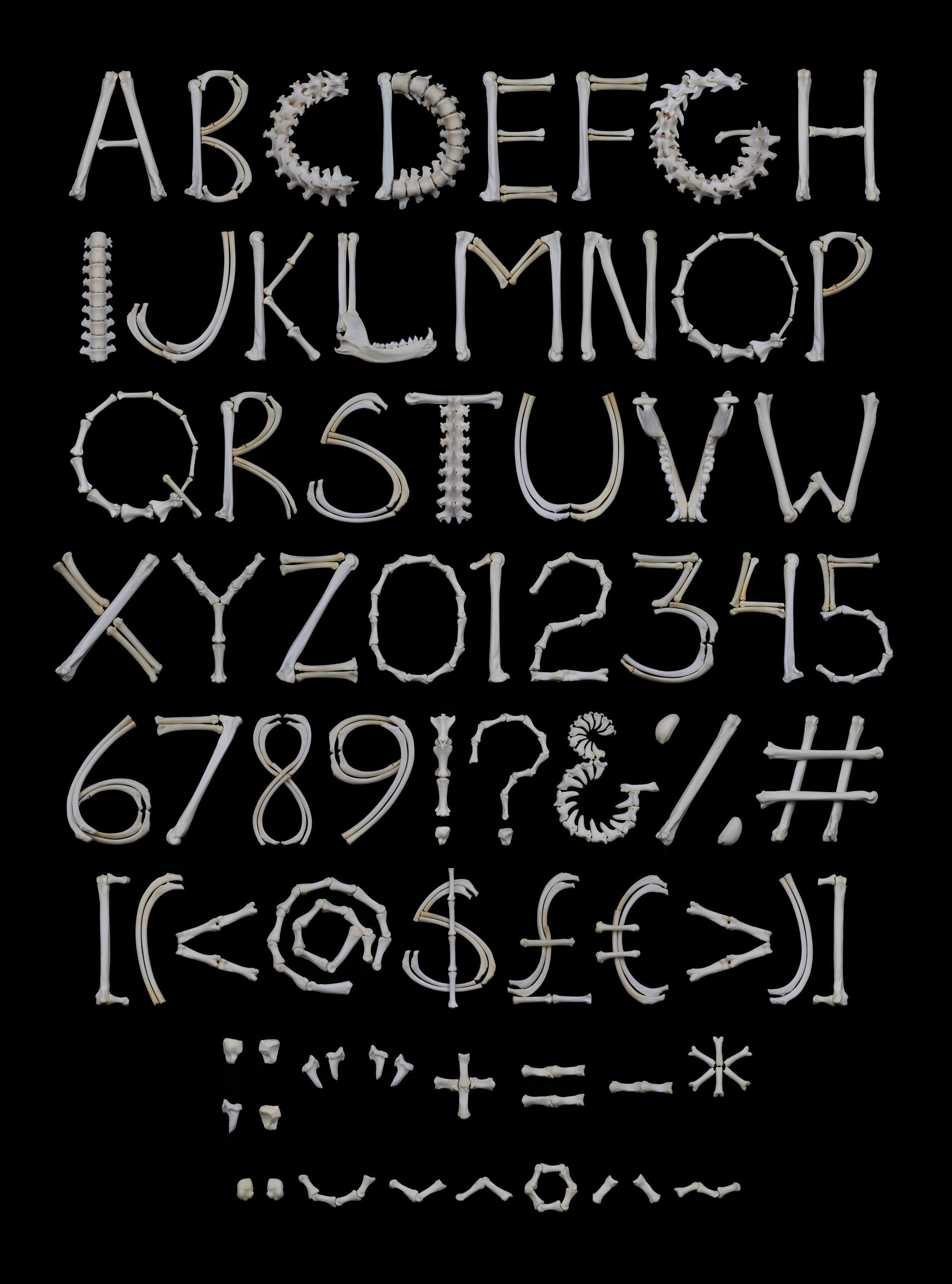 Osteography, a sculptural bone typeface, showing the complete alphabet, numbers, punctuation, and symbols assembled from a single raccoon skeleton on a black background.