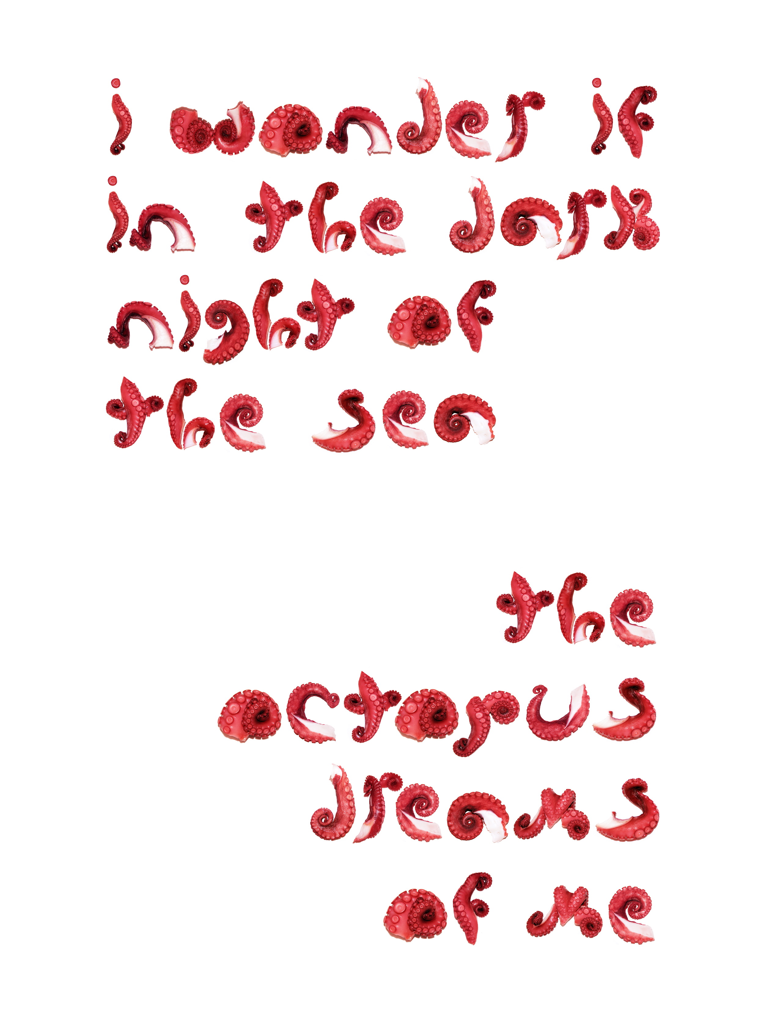 The words “I wonder if in the dark night of the sea the octopus dreams of me” formed from red octopus tentacles on a white background.