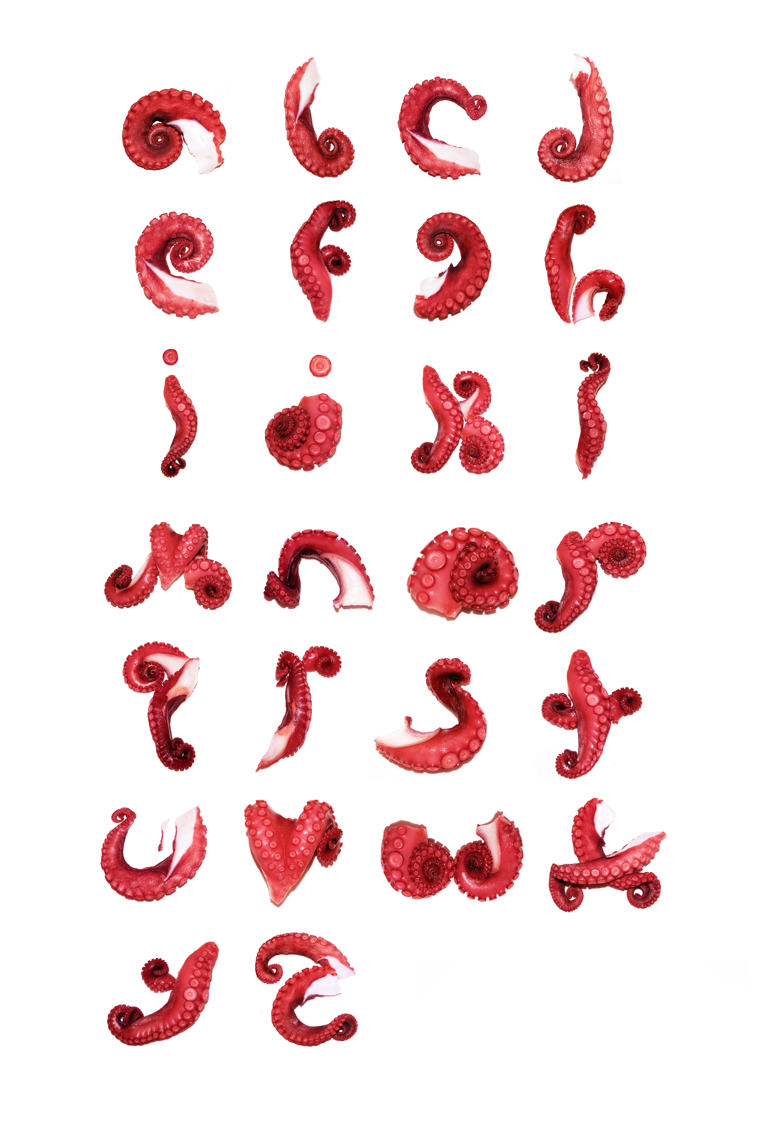 Complete alphabet constructed from photographed red octopus tentacles for an experimental object typography project on a white background.