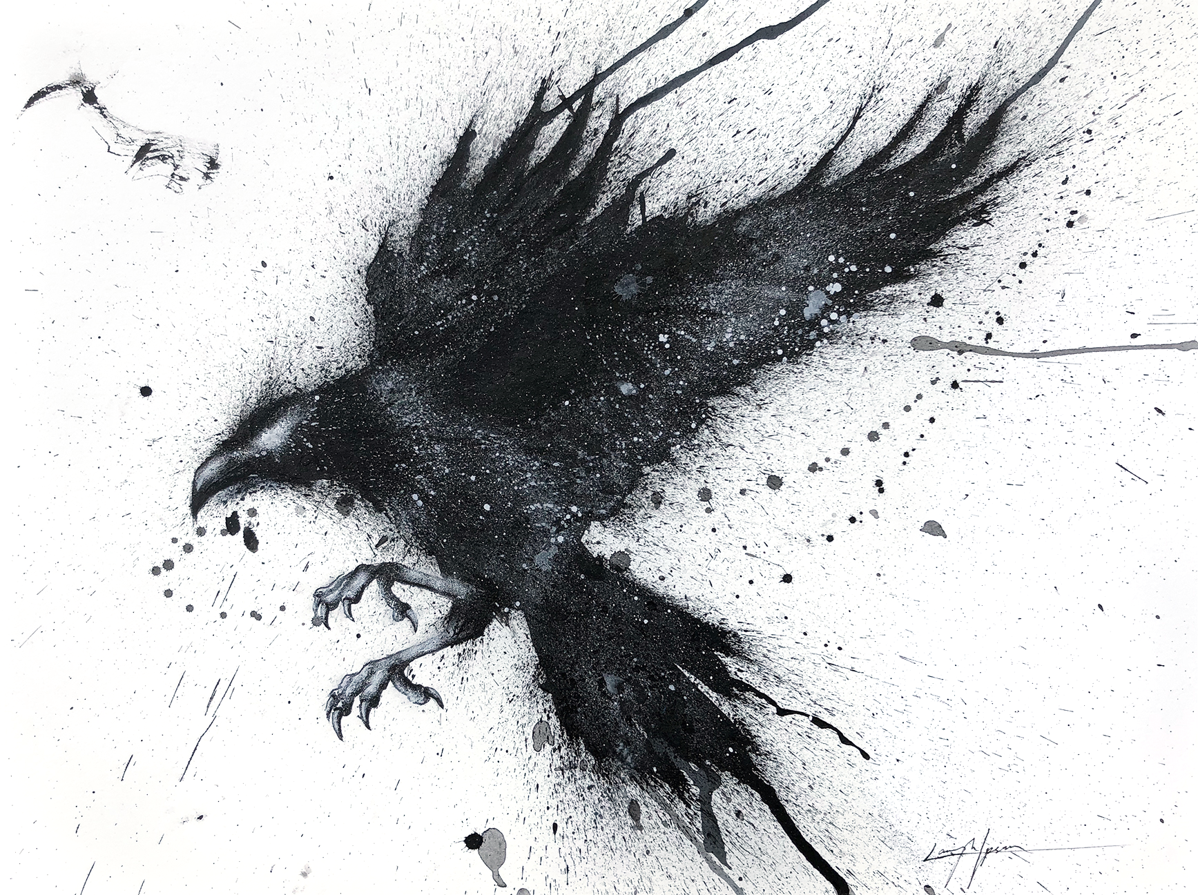 Black and white ink and watercolor illustration of a raven in flight with wings spread and talons extended, its body and feathers dissolving into splattered and dripping brushwork against white.