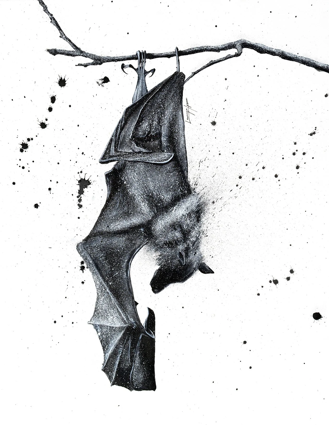 A black and white ink and watercolor illustration of a fruit bat hanging upside down from a bare branch, with folded wings, pointed ears, and splattered brushwork on white.