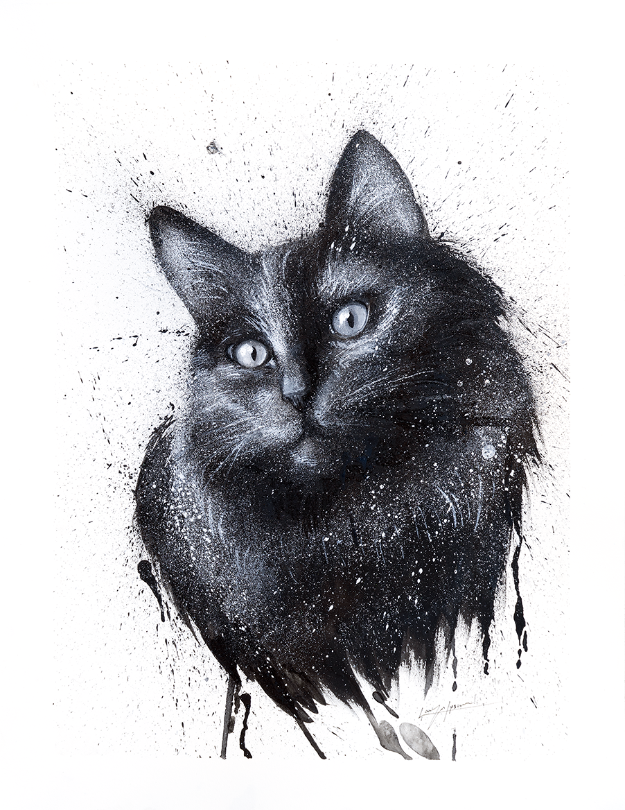 a black and white ink and watercolor illustration of a black cat bust with bright, pale eyes, rendered with detailed fur, ink splatters, and dripping brushwork on white.