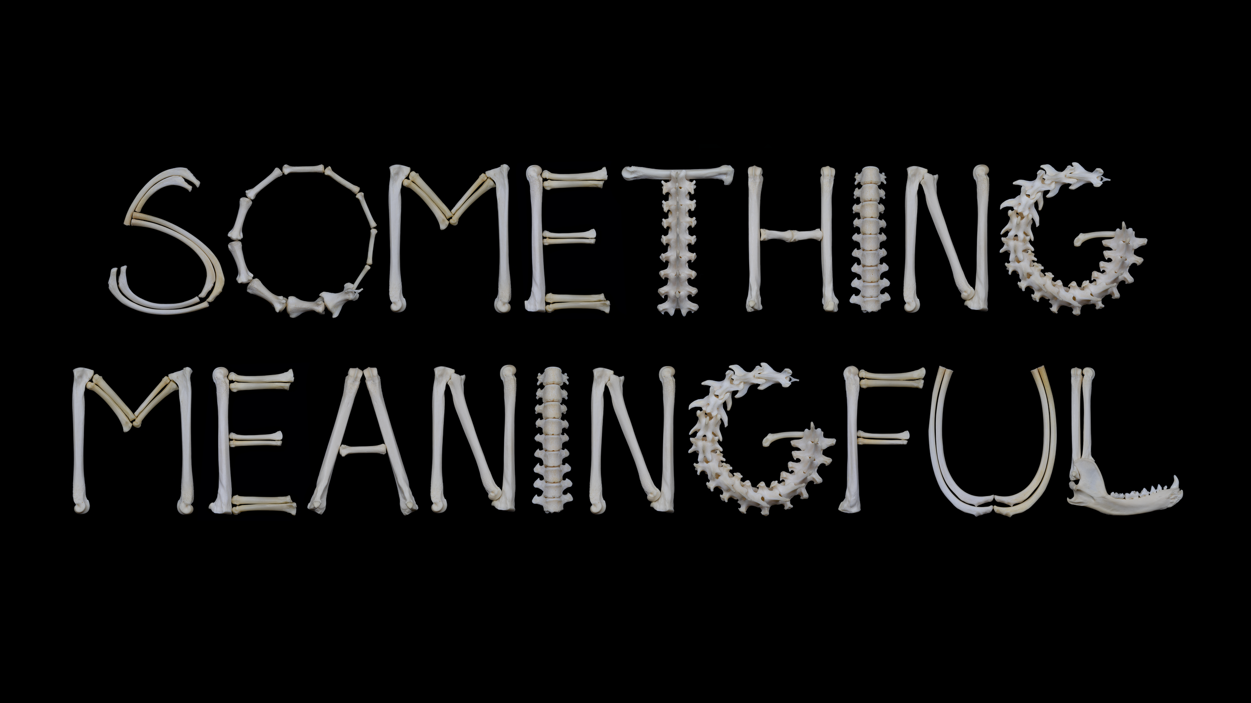 The words “Something Meaningful” formed from raccoon bones in the Osteography sculptural typeface on a black background.