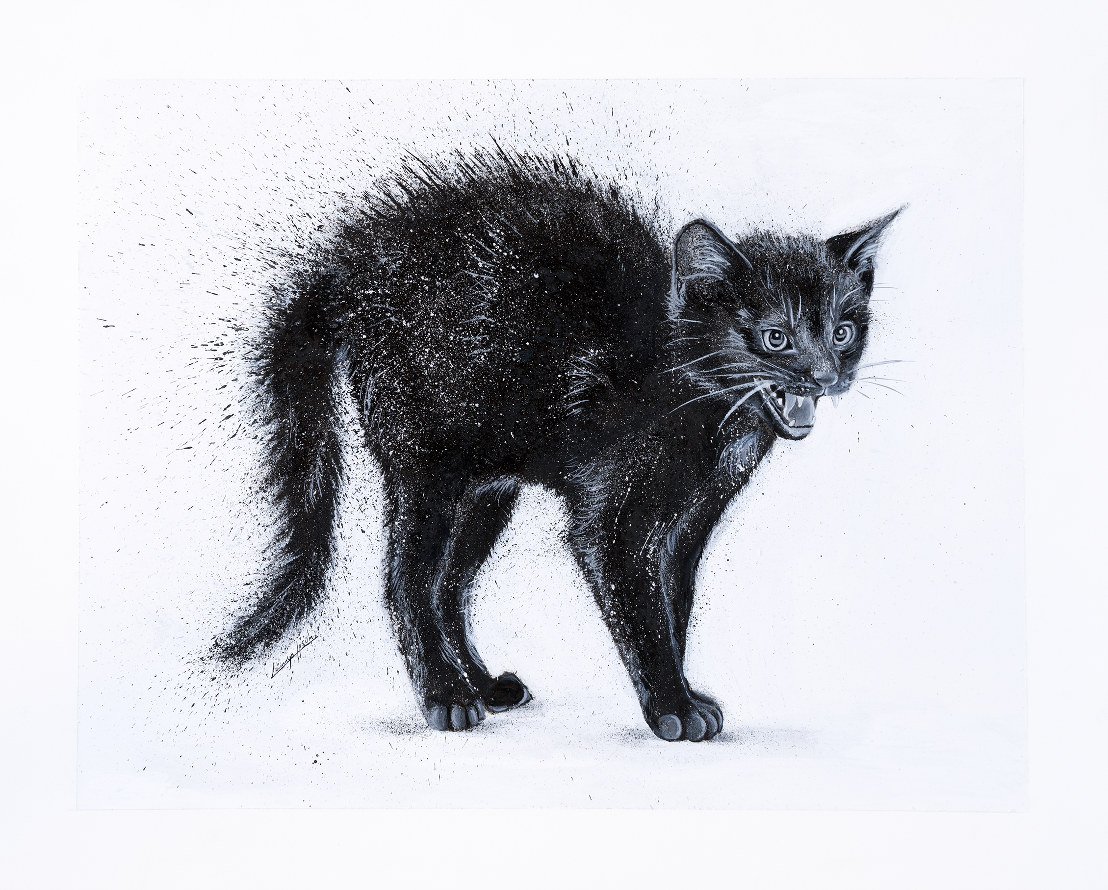 a black and white ink and watercolor illustration of an arched black kitten hissing with its mouth open, wide eyes, raised fur, and a puffed tail dissolving into energetic ink splatters.