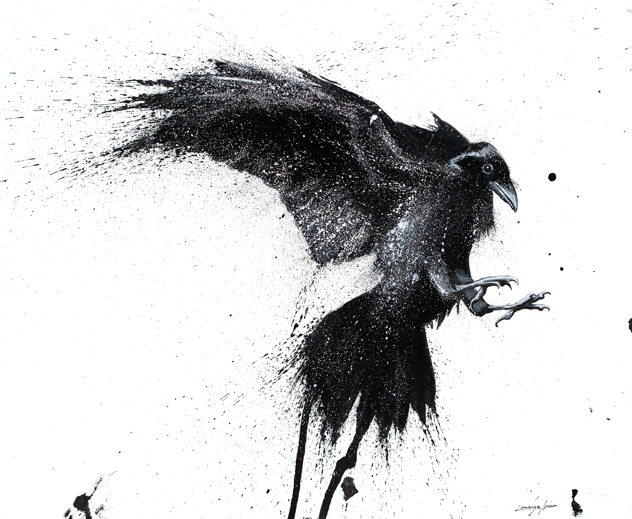 a black and white ink and watercolor illustration of a raven descending with its wings spread and talons extended, its feathers dissolving into splattered and dripping brushwork against a white background.