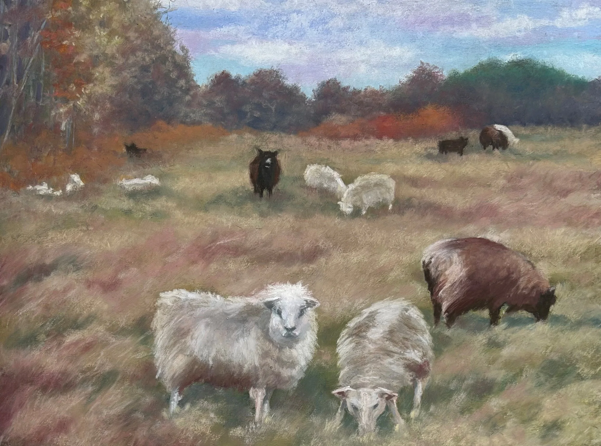 Sheep in the Meadow