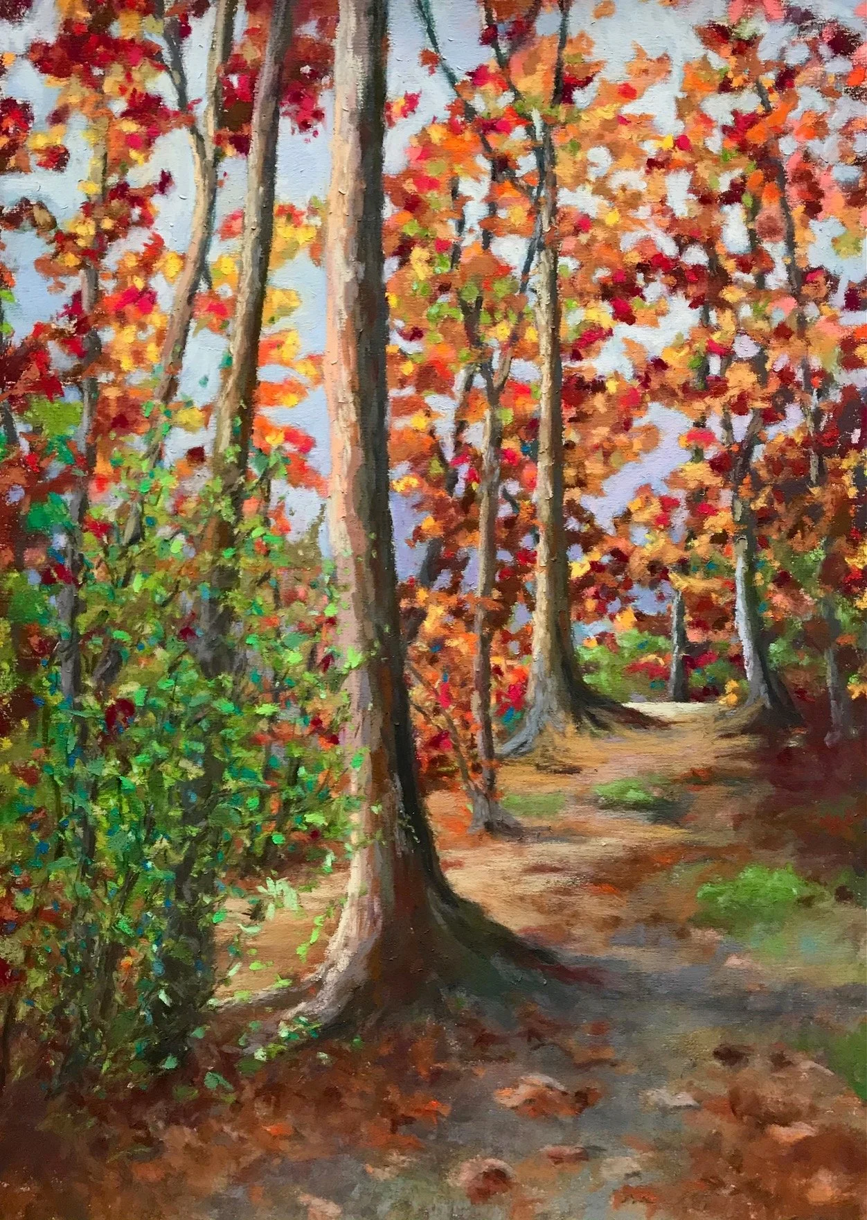 Mountain Lake Path