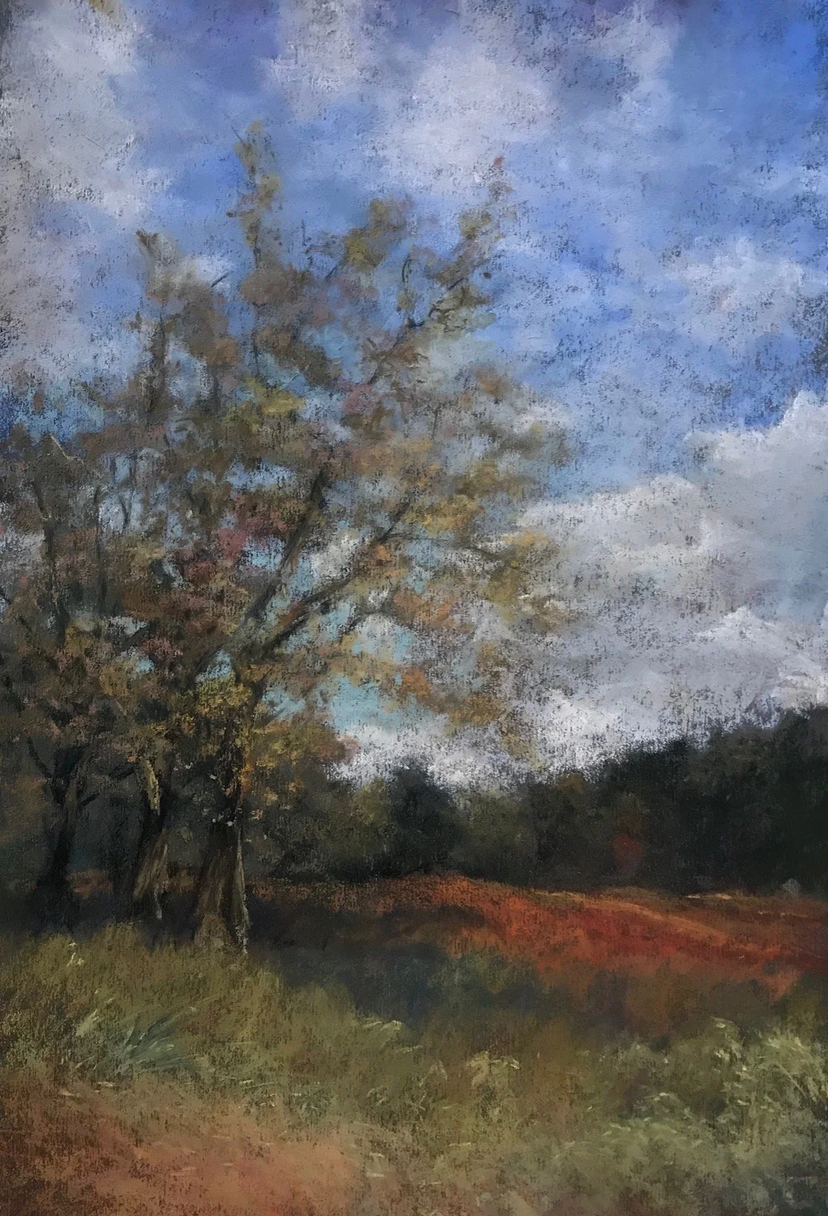Landscapes