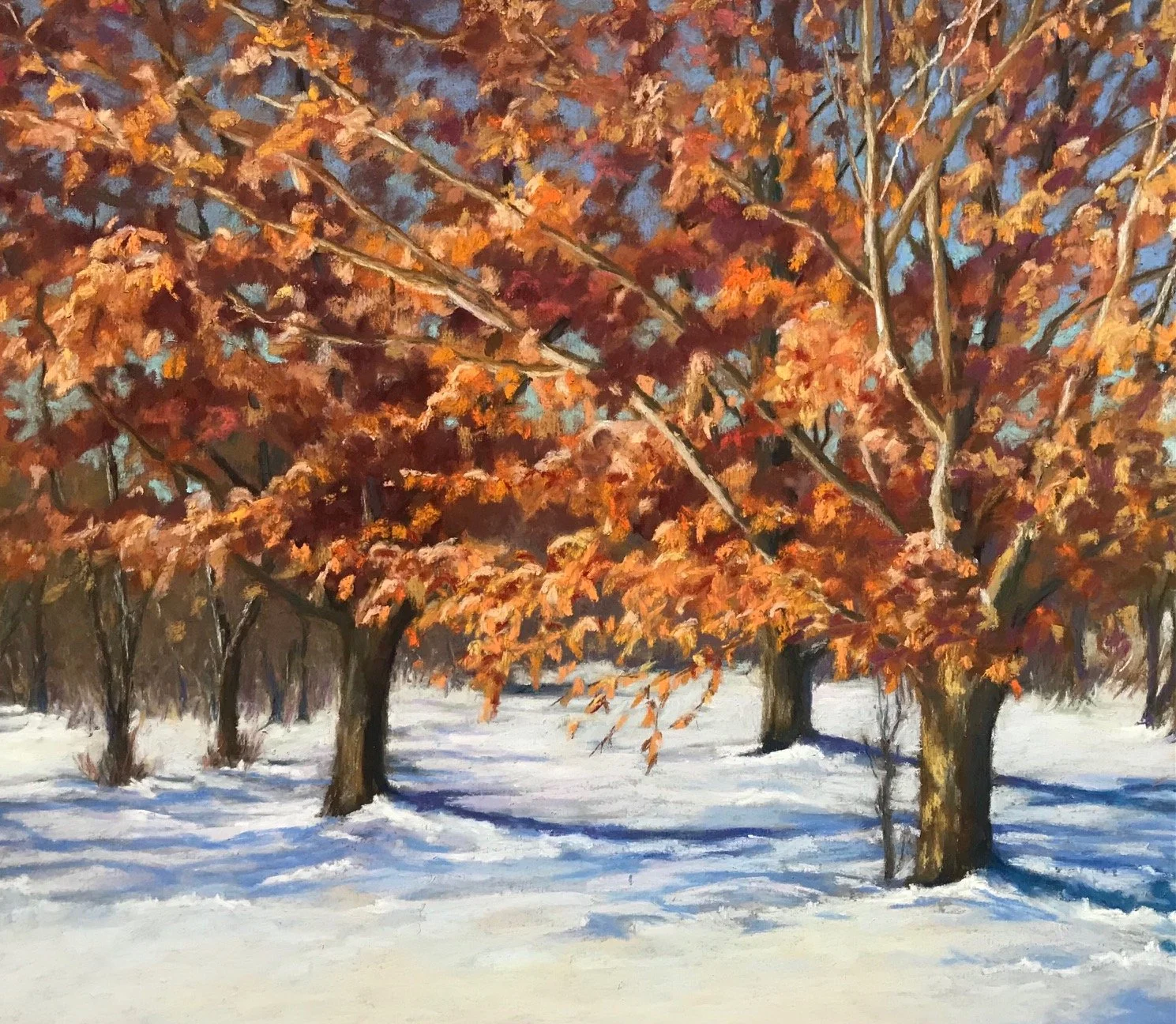 Chestnut Trees in Winter.jpg