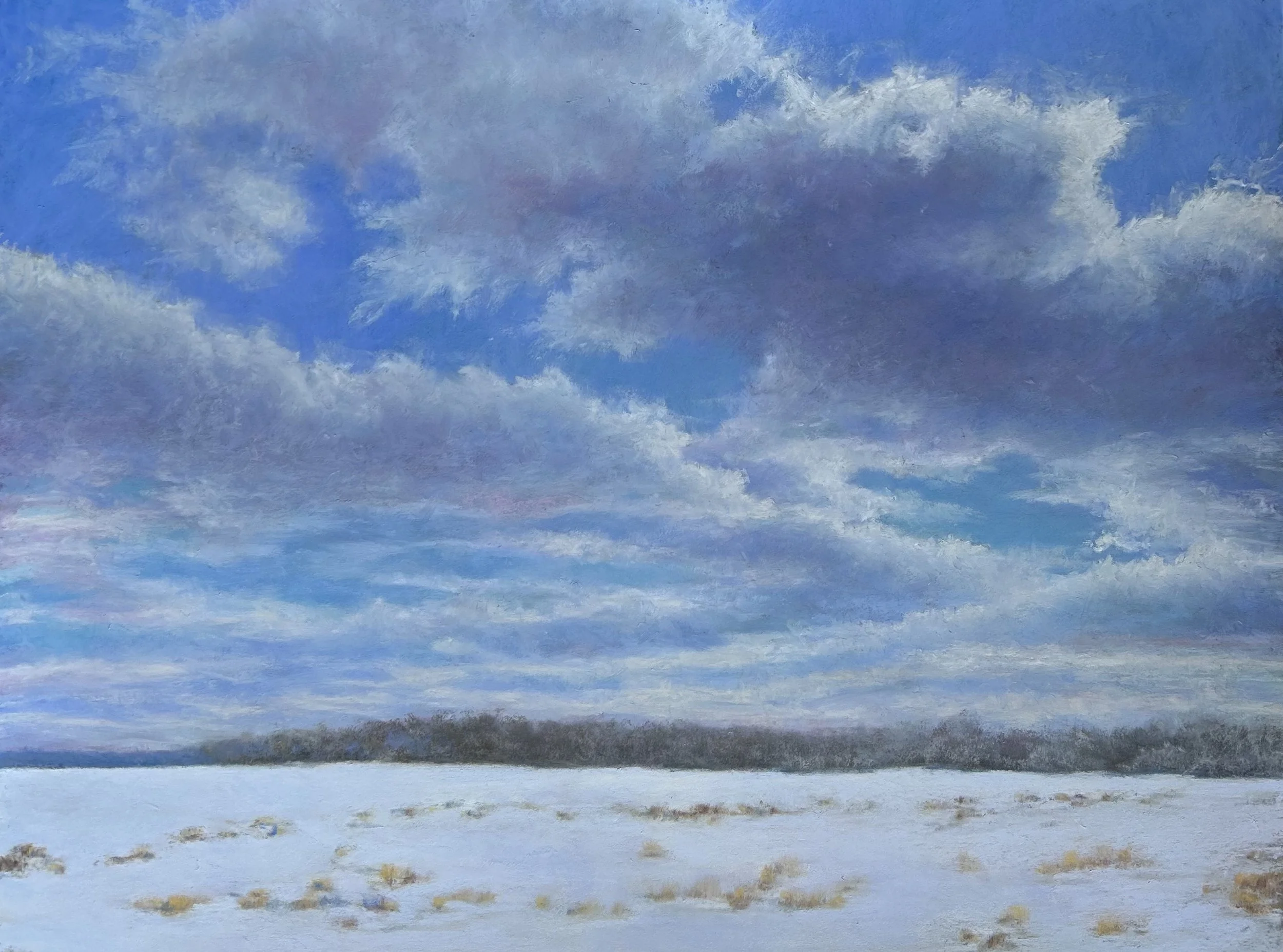 Farm Field in Winter