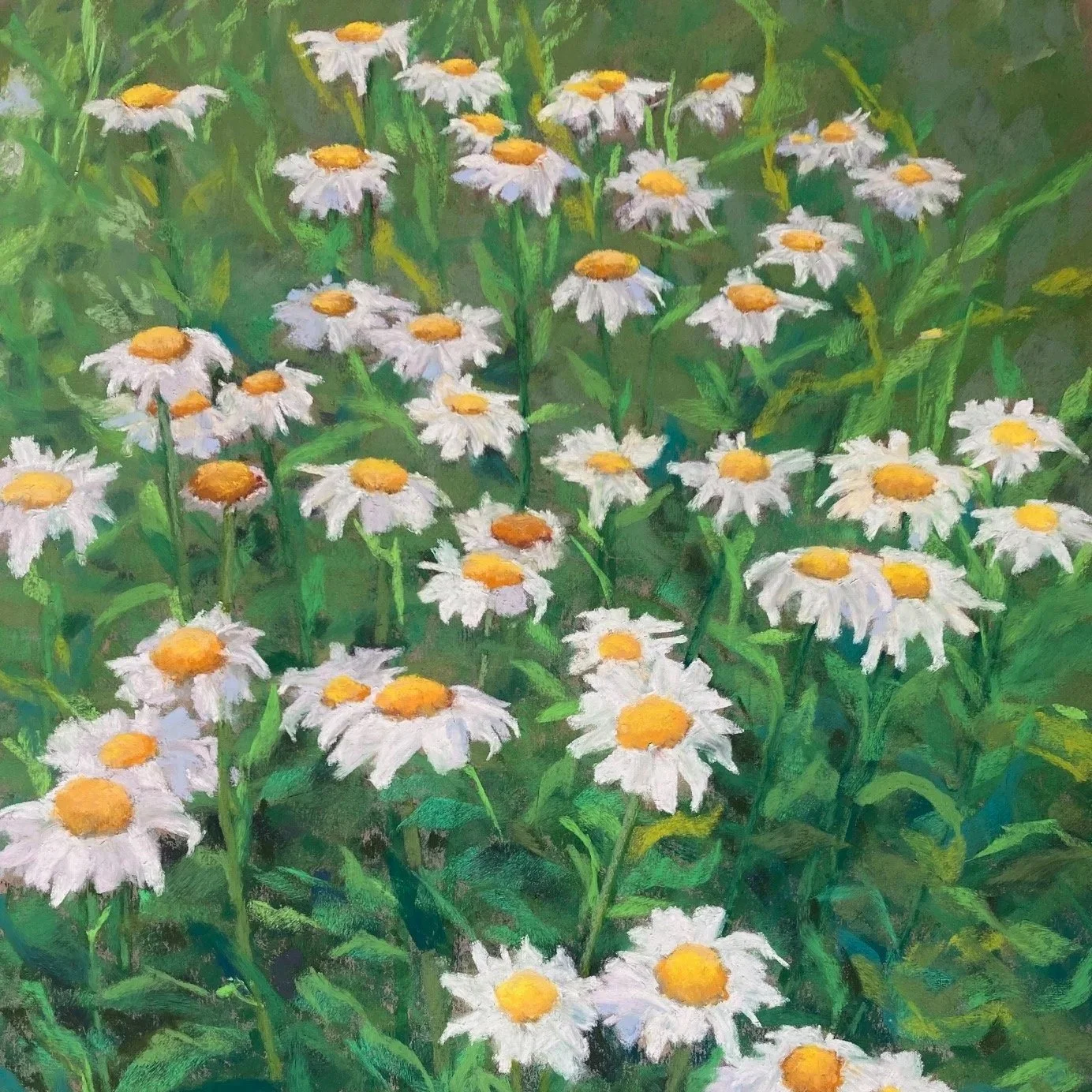 Birds, Flowers & Furry Friends