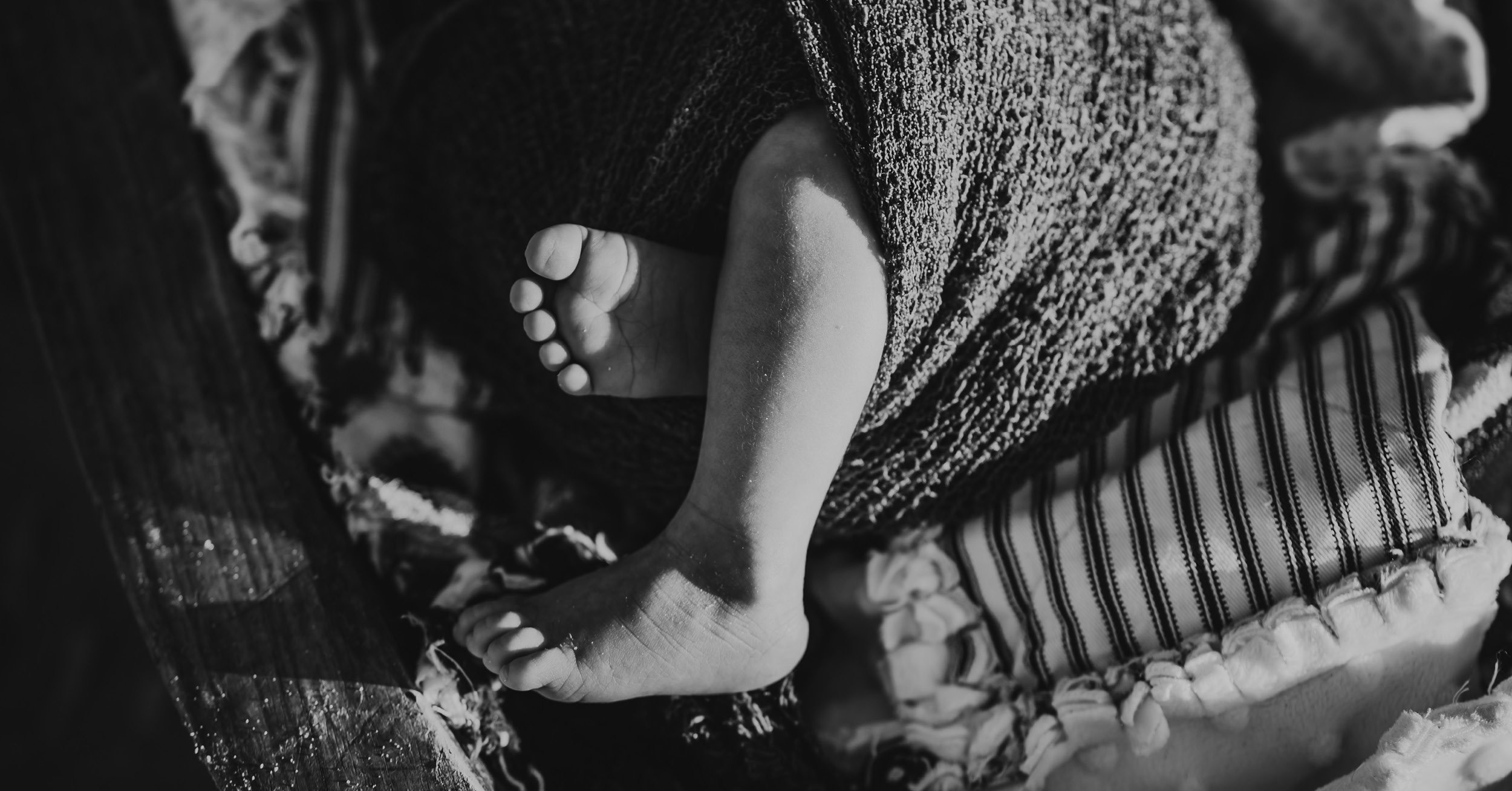 A Little Life Update (and What’s Next)