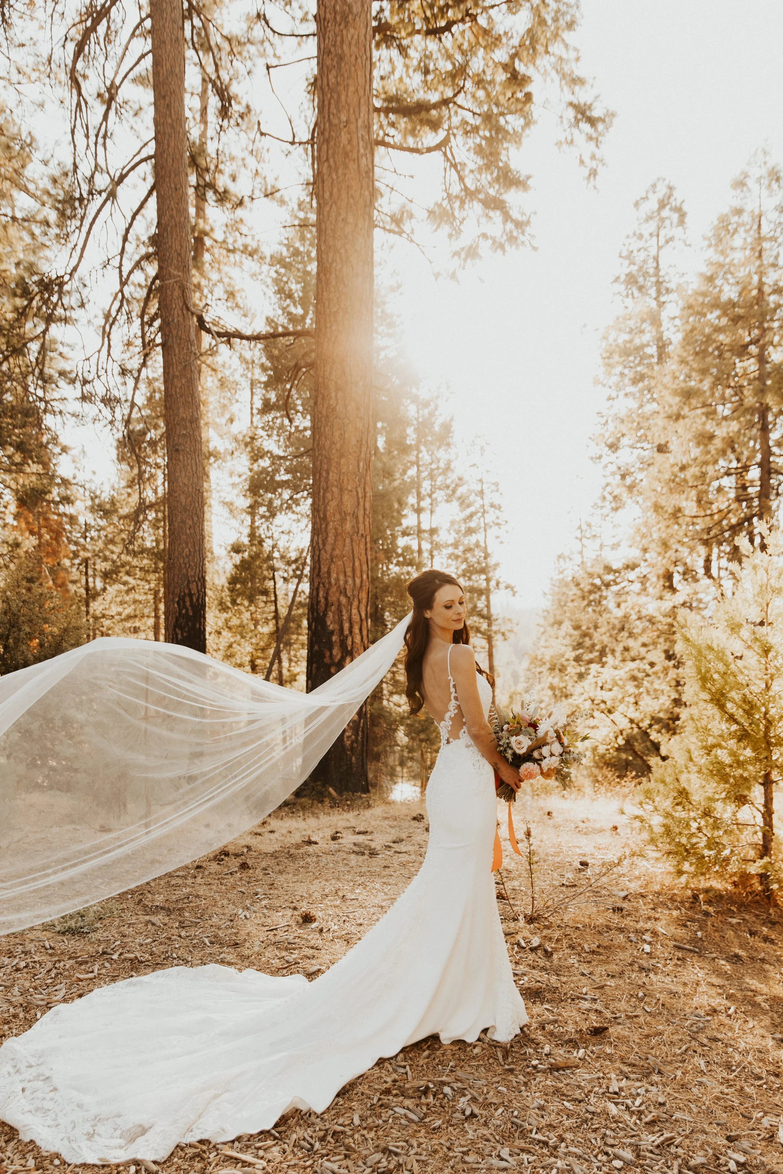 yosemite wedding (517 of 1242).jpg