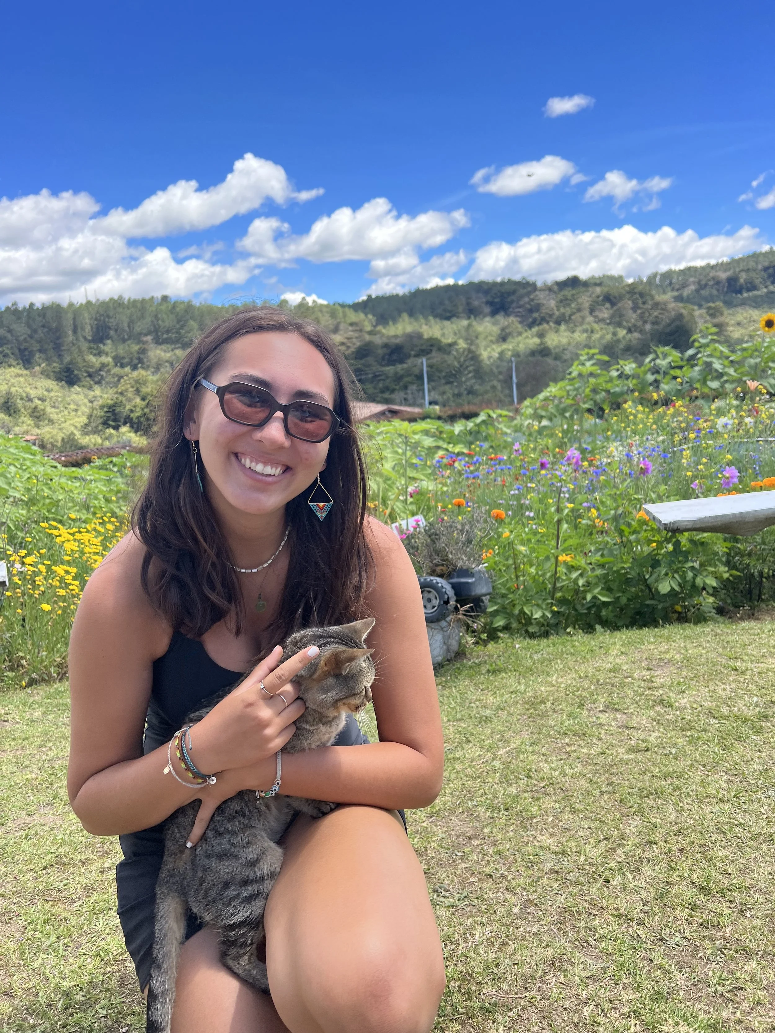 Meet the Team — The Real Food Collaborative