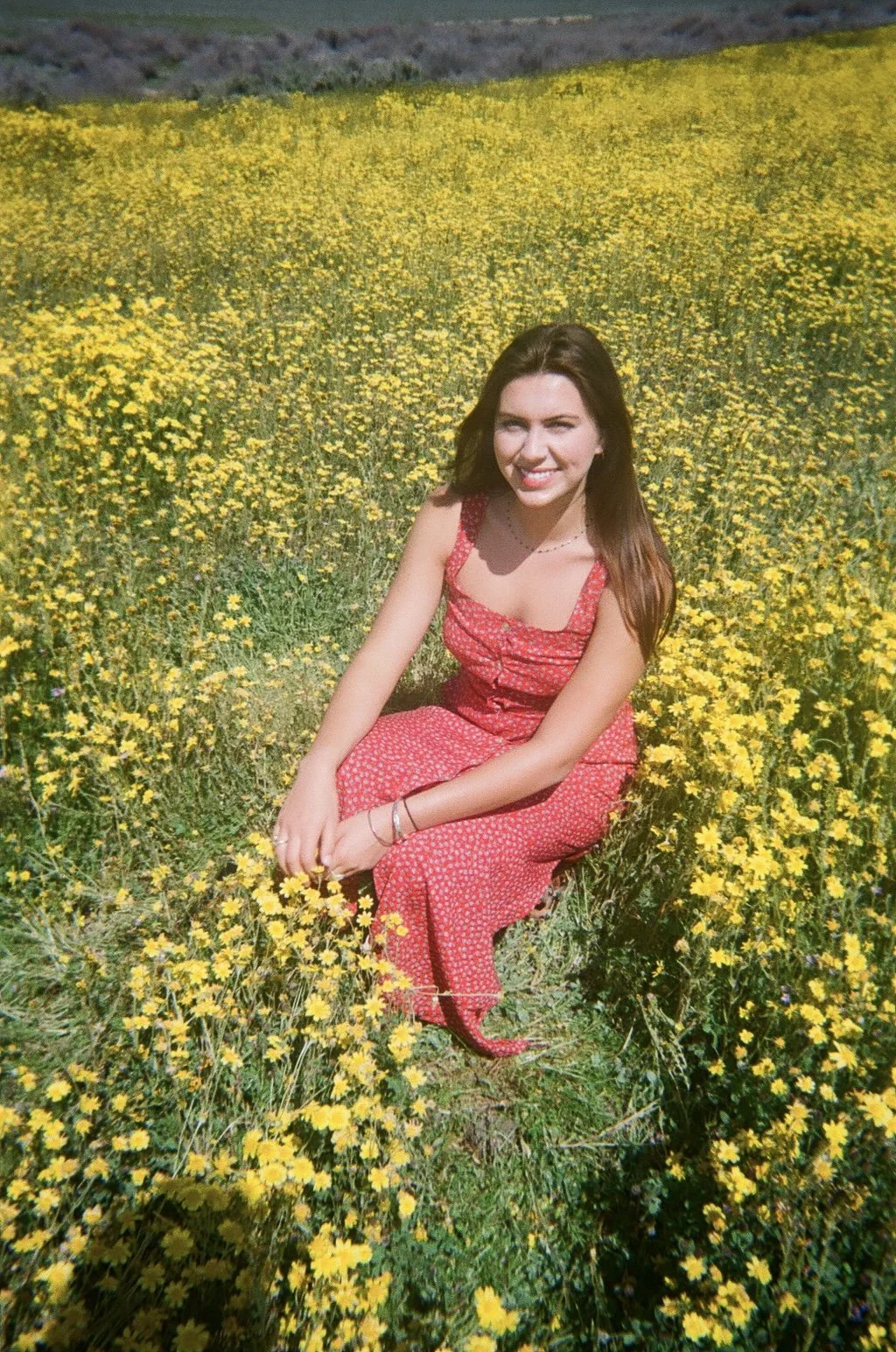 Meet the Team — The Real Food Collaborative