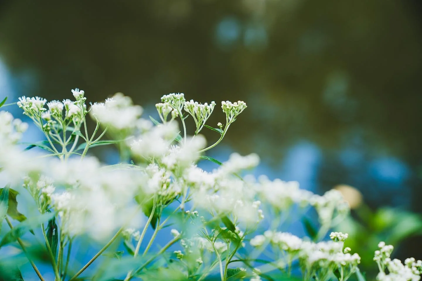 So if I only post 1 picture it doesn&rsquo;t have to be cropped?!