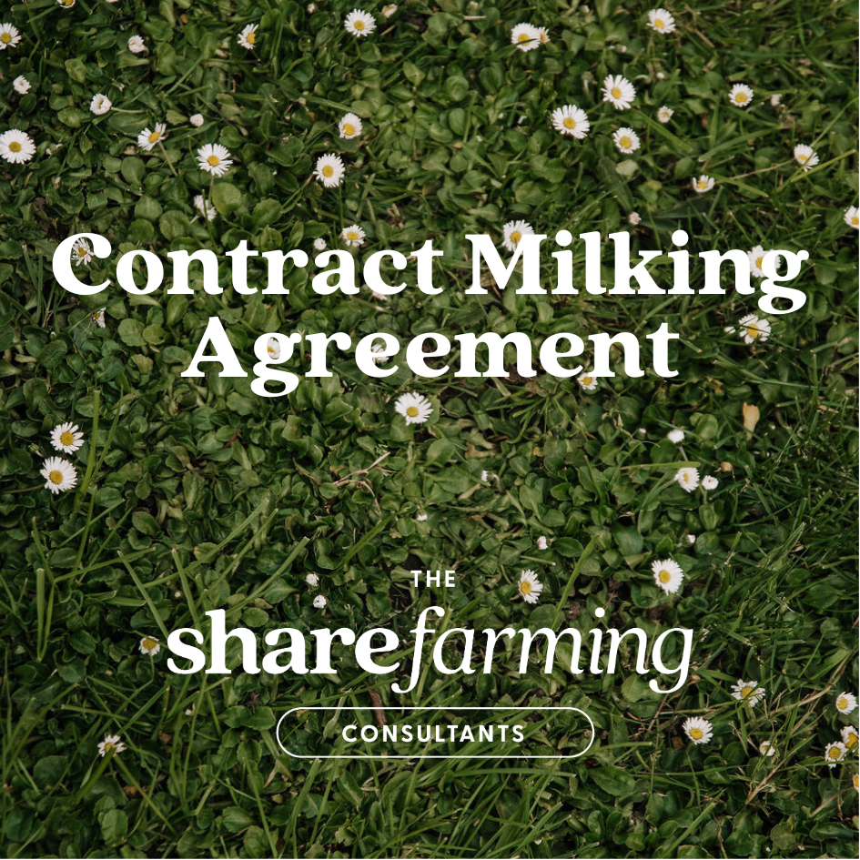 Reel cover (8 x 8 cm).png