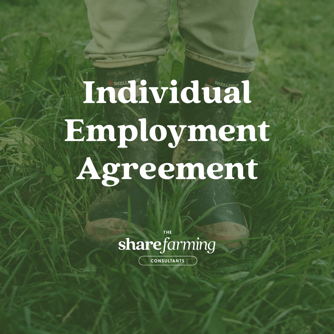 Individual Employment Agreement