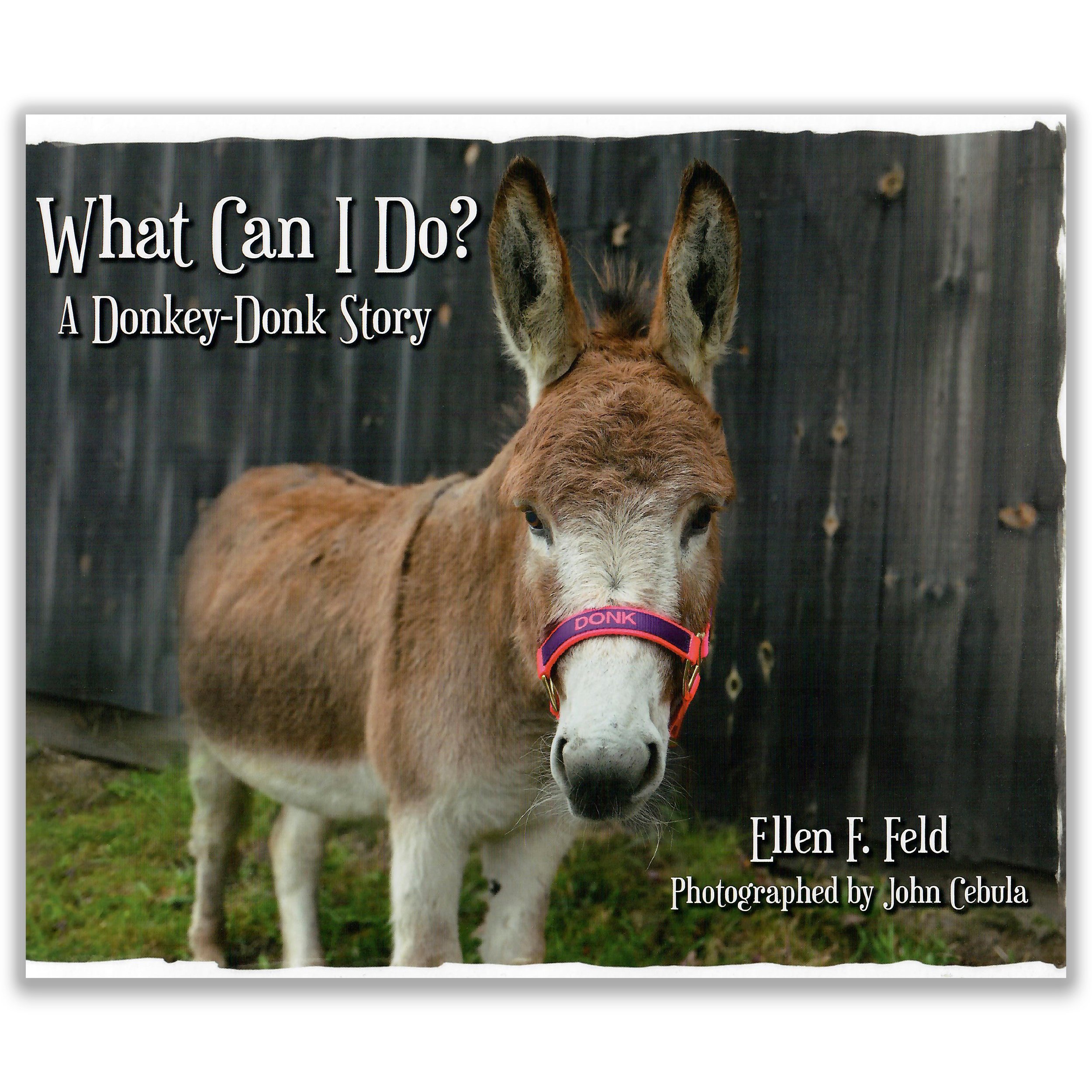 Cover of What Can I Do? A Donkey-Donk Story Book