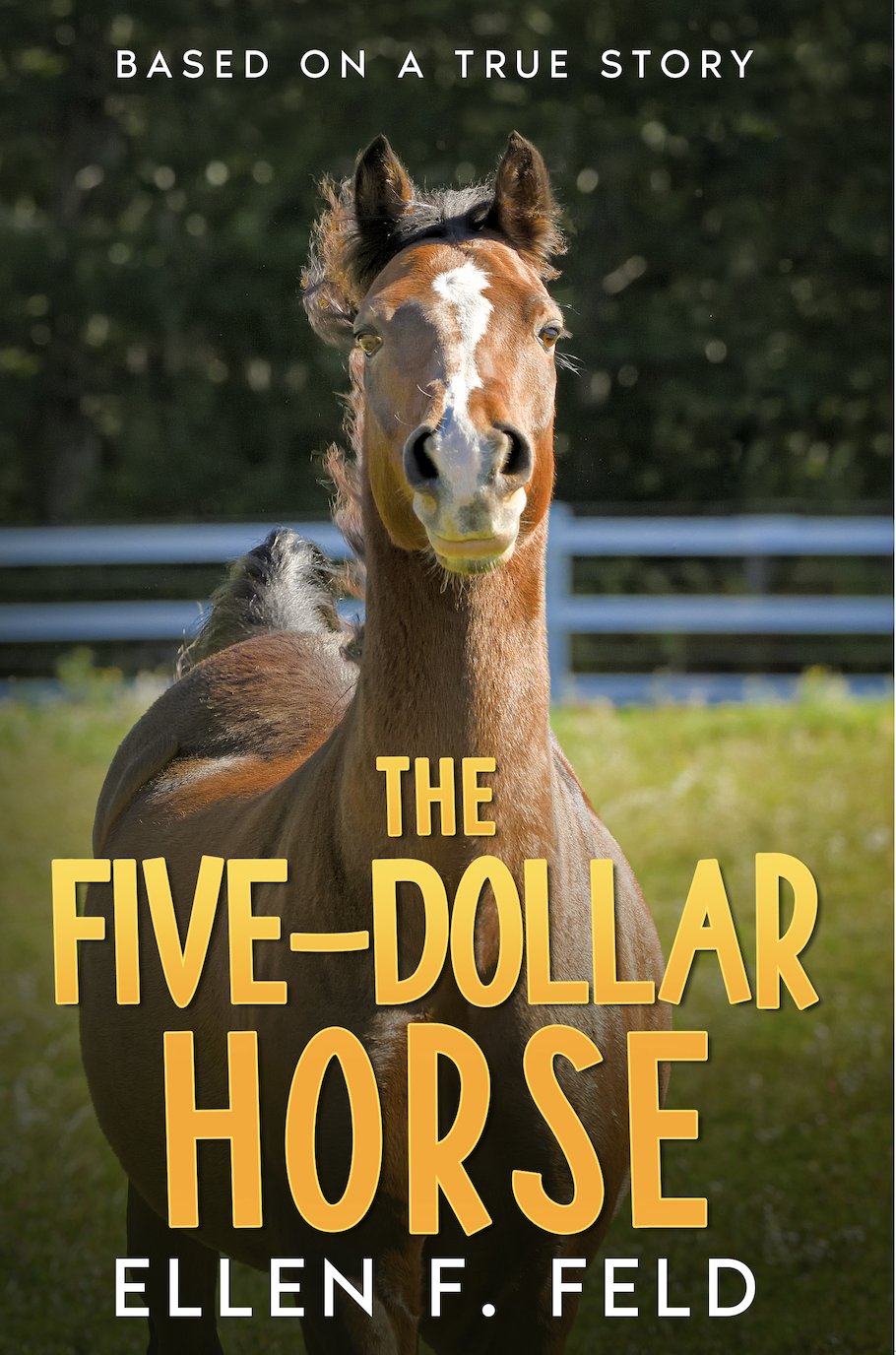 Cover of Five Dollar Horse Book