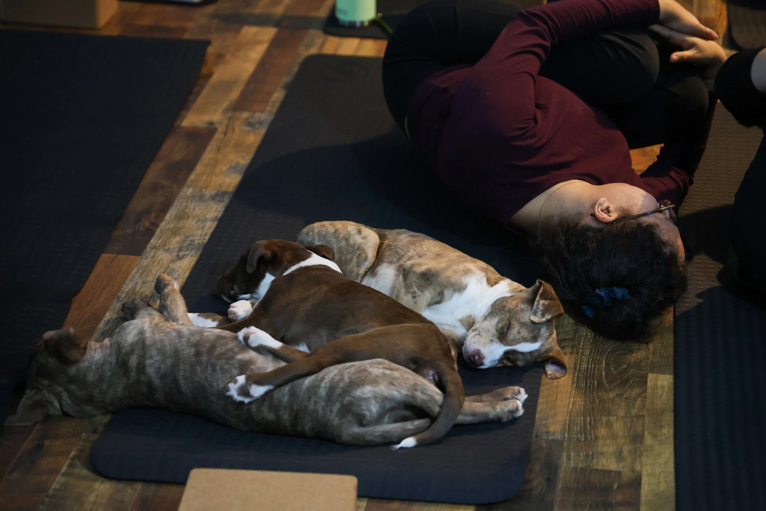 The Good Way to Give Back 