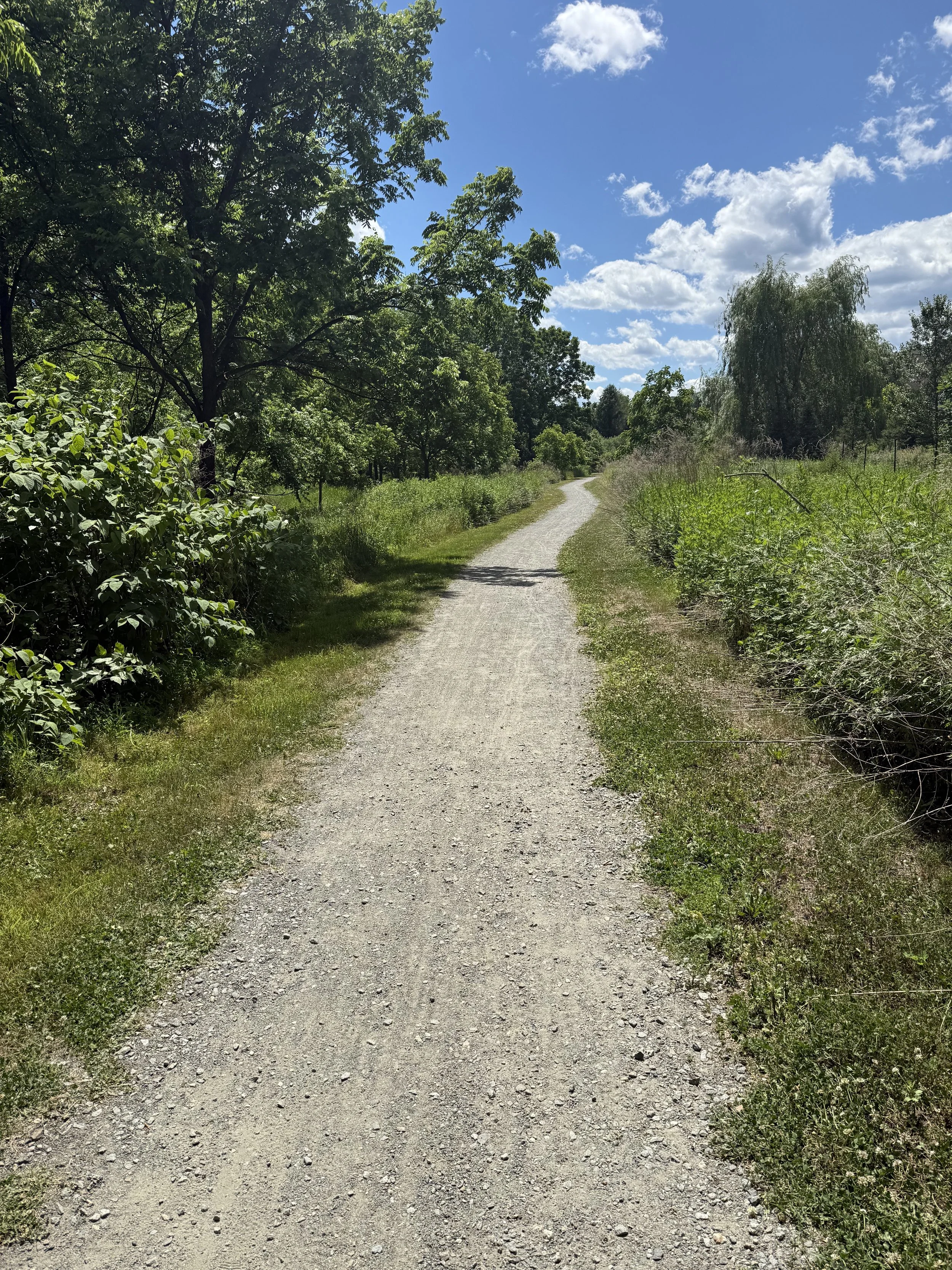 Wellness Trends We're Seeing Across Morris County