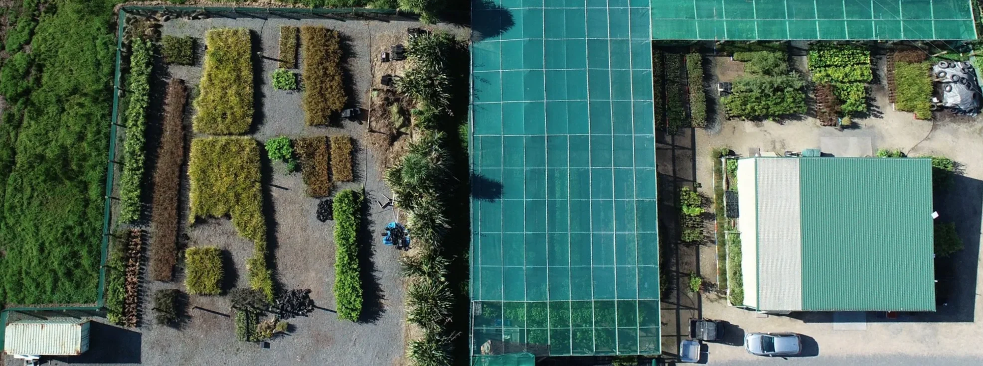 Birds eye view of the nursery