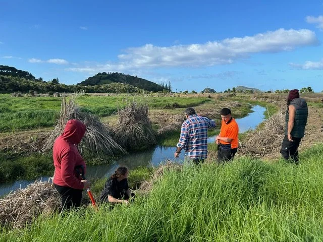 Wetlands1.jpeg