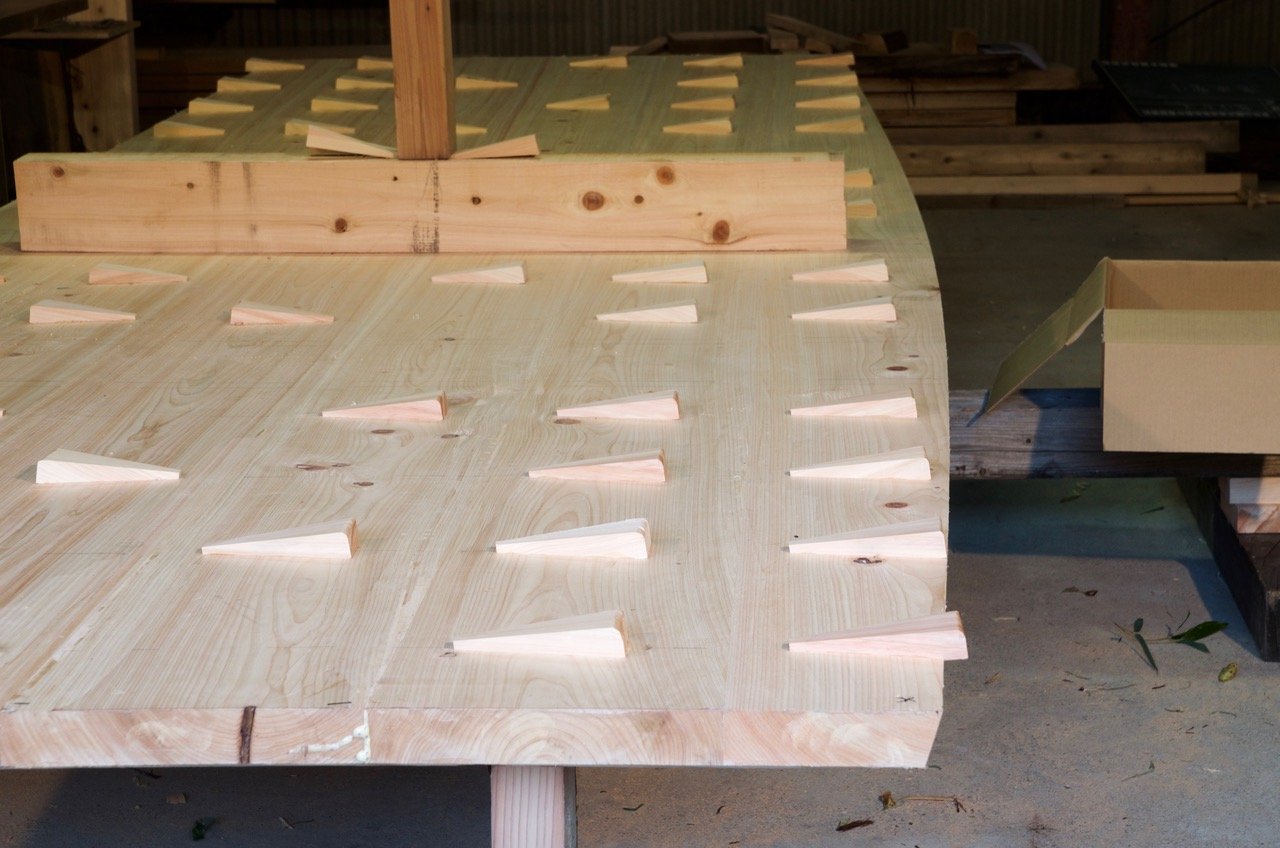 The bottom is cypress. The plugs fill the edge-nail mortises and get trimmed flush.