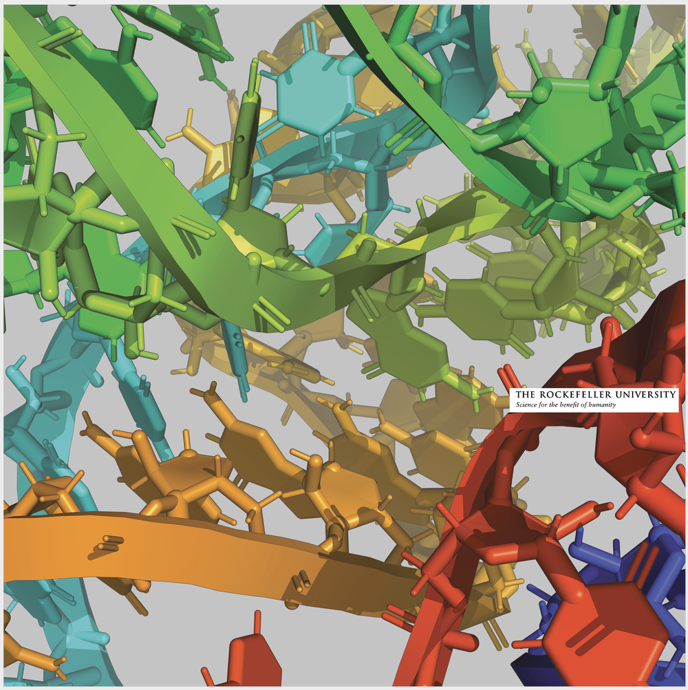 Bonilla lab