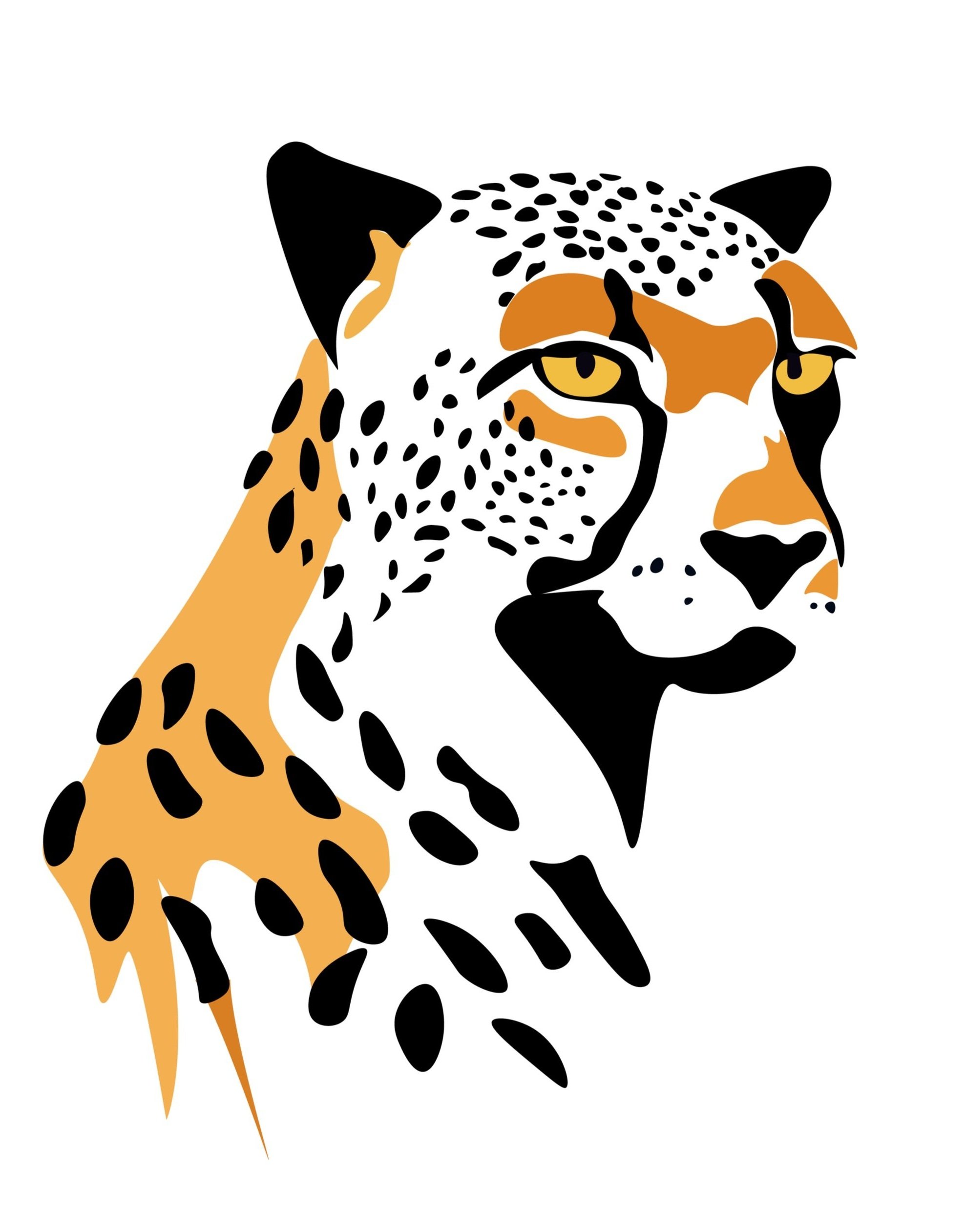 cheetah.jpg