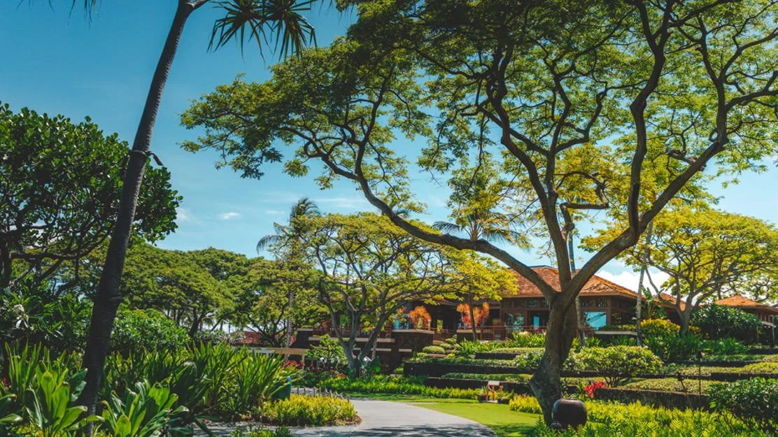 1:1 VIP LUXURY RETREAT