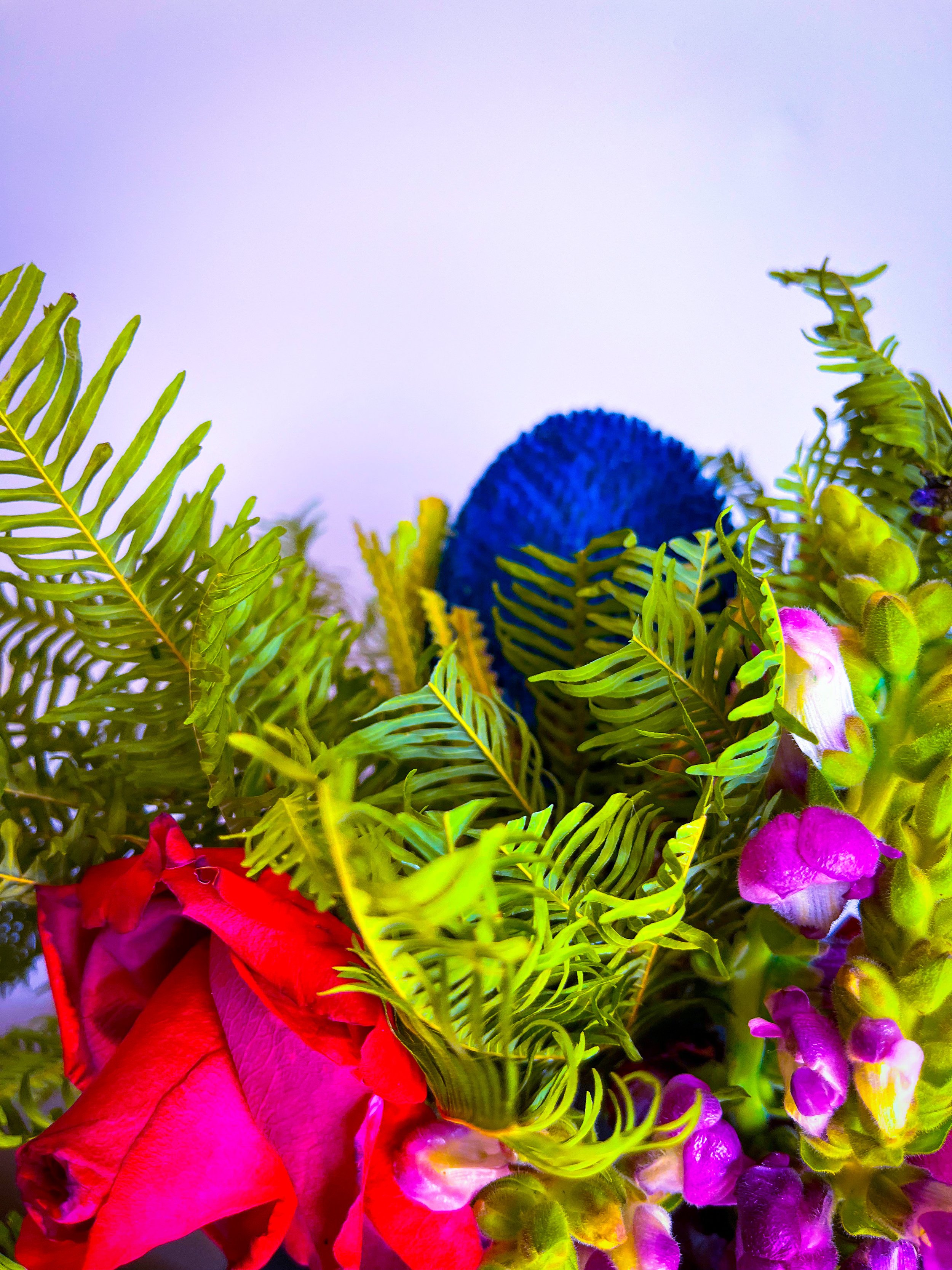 38D58779-EB9D-41F4-9FD3-8B0A4702386D.jpeg