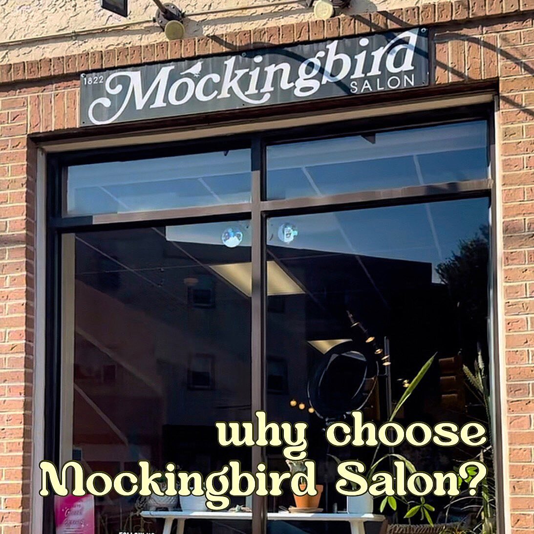 ever wonder what makes Mockingbird so unique? here&rsquo;s a few facts about the salon and people in it! 💛 🐦
-

#phillyhairsalon #cleanhairproducts #veganhairproducts #nontoxichaircare #gmreverie #supportsmallbusinesses #healthyscalp #plantbasedhai