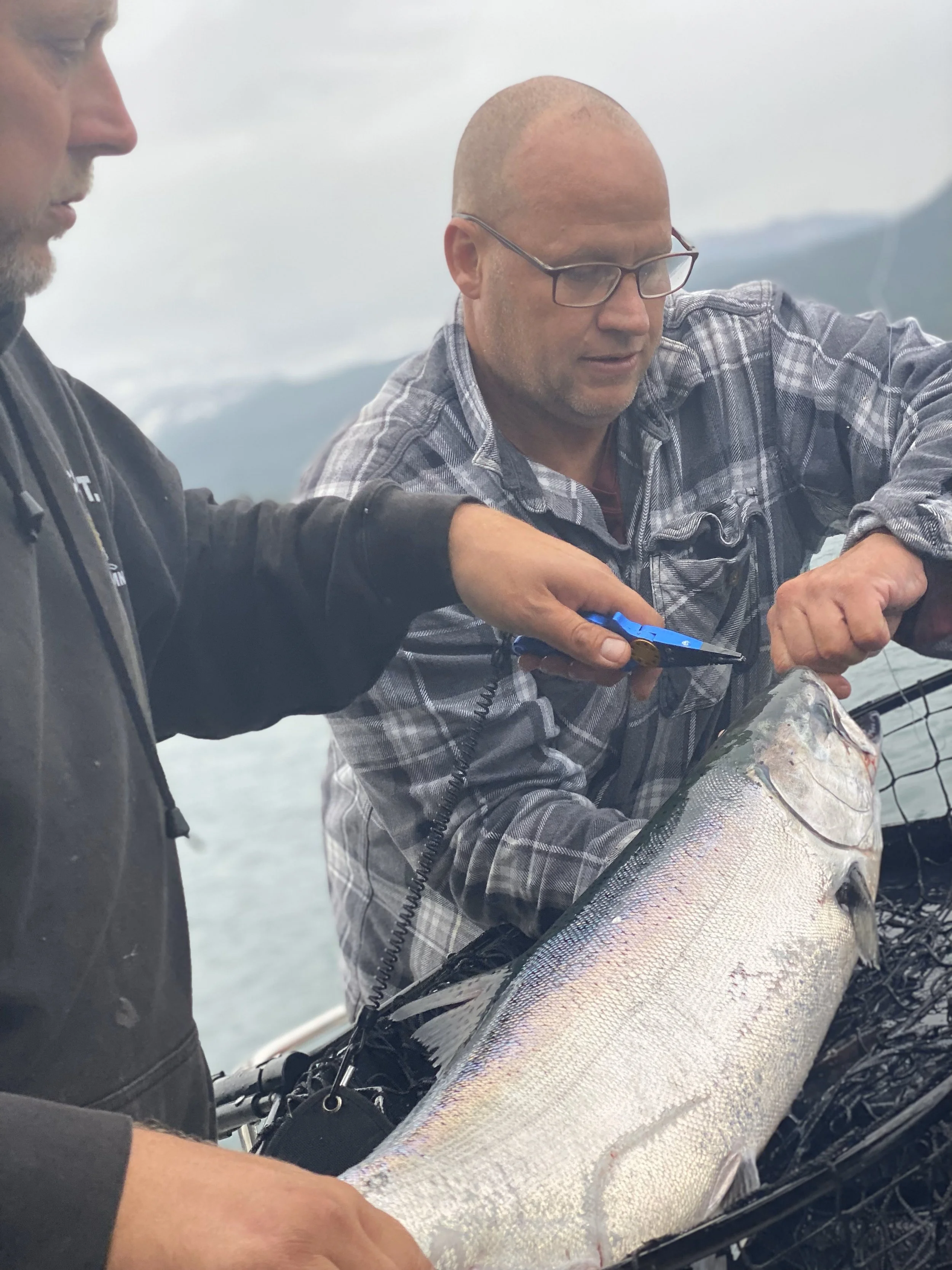 Another King Salmon in Kachemak Bay