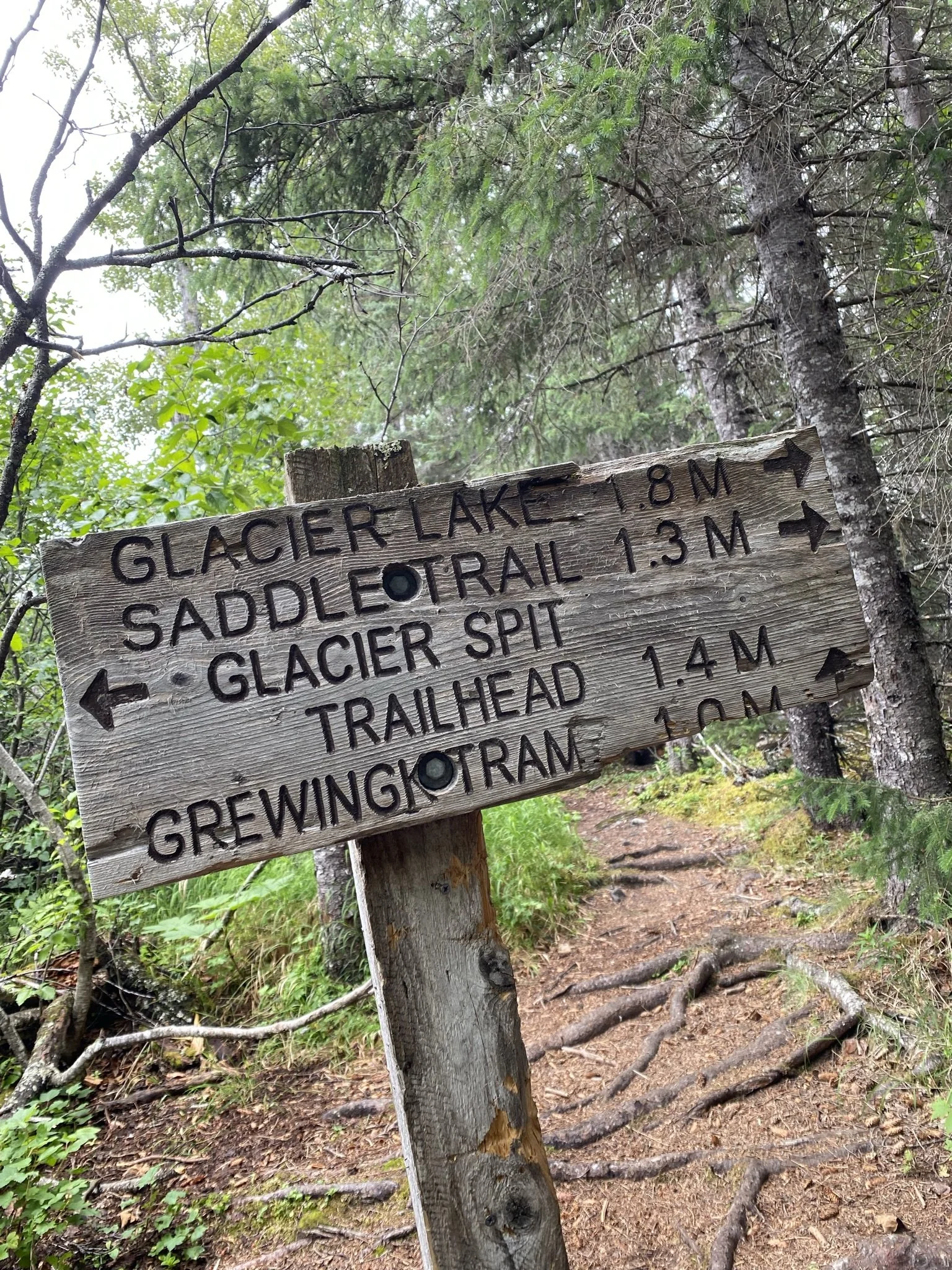 Trail marker on the Saddle Trail
