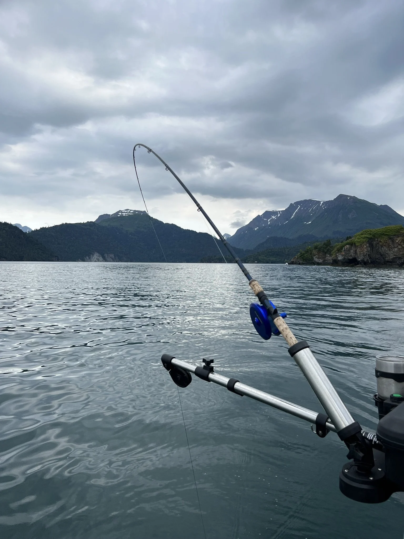 Trolling for salmon, Kachemak Bay