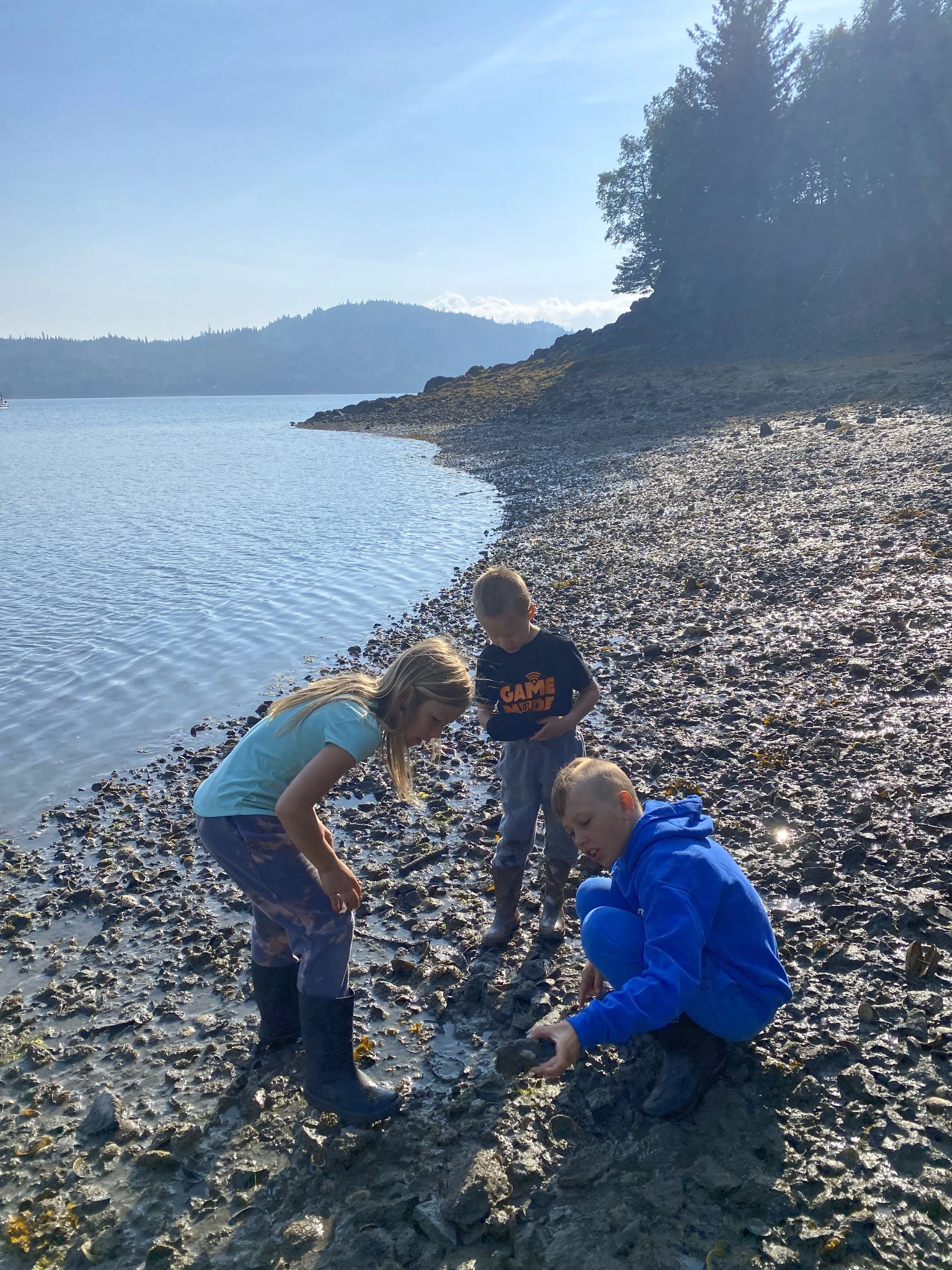 Exploring the shore at low tide