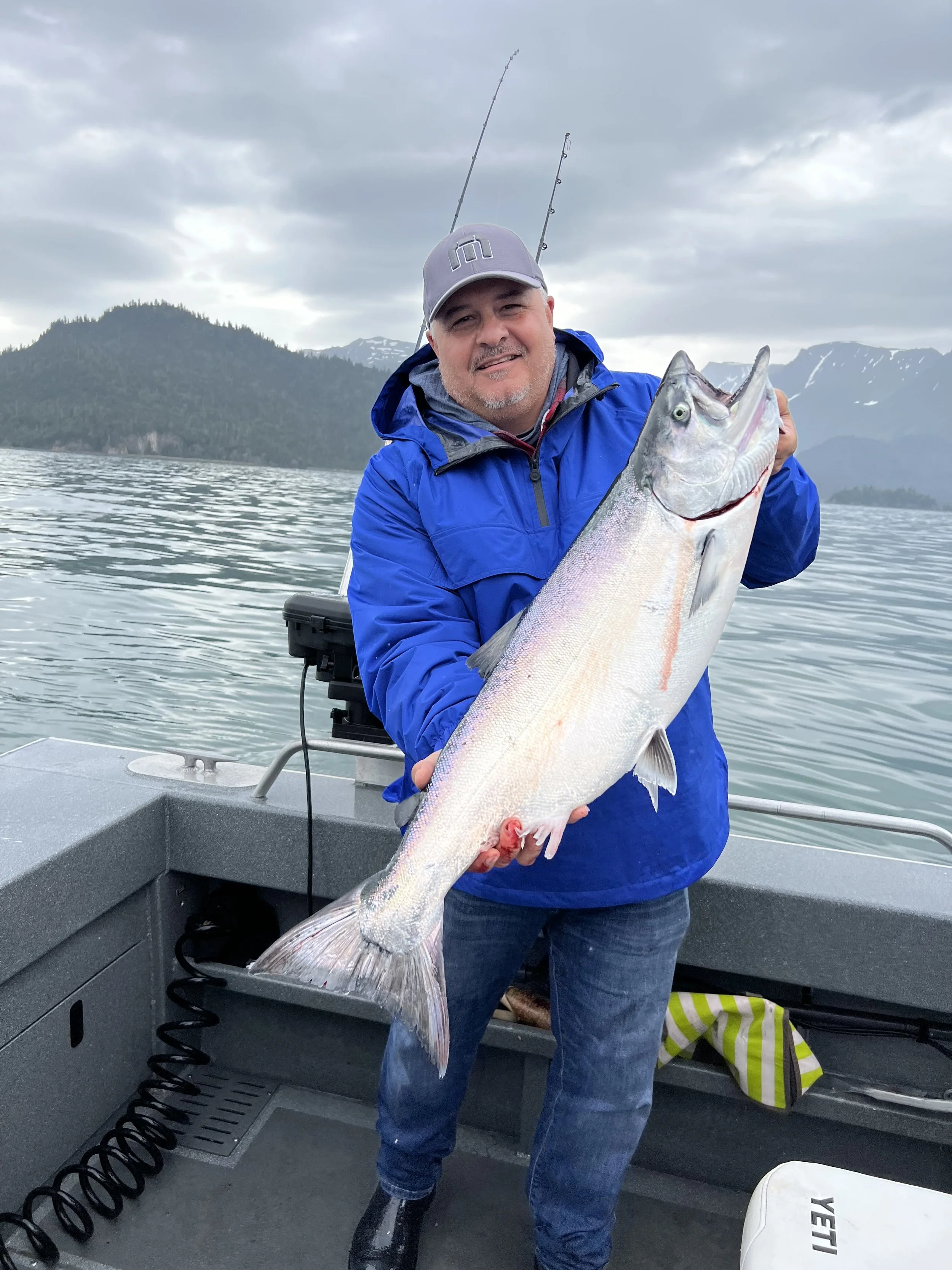 Another King Salmon near Halibut Cove Lagoon, Homer 
