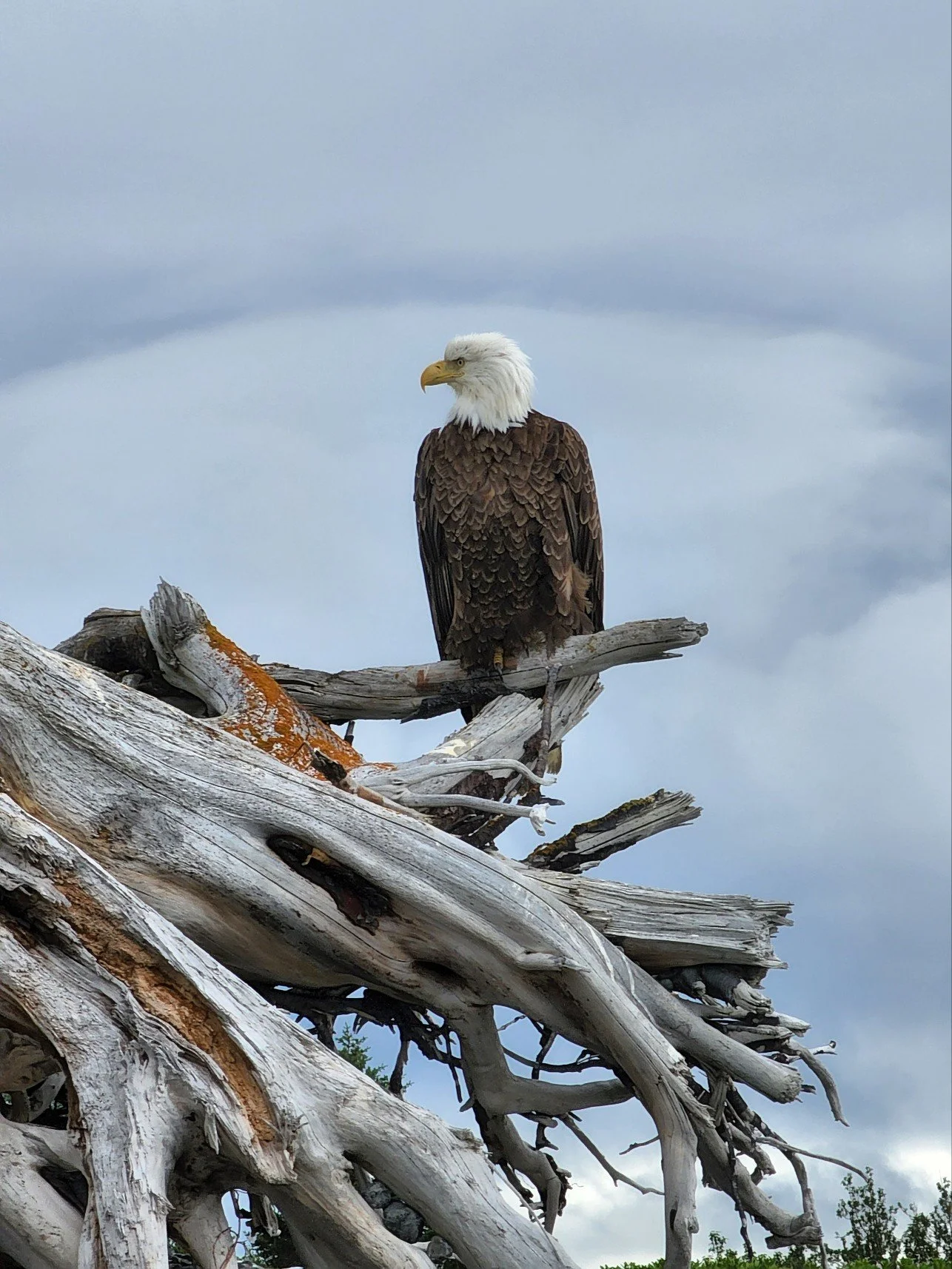 Sometimes I feel like somebody is watching me...