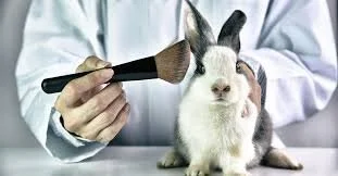 The Truth About Cruelty-Free Makeup (and Why It Matters)