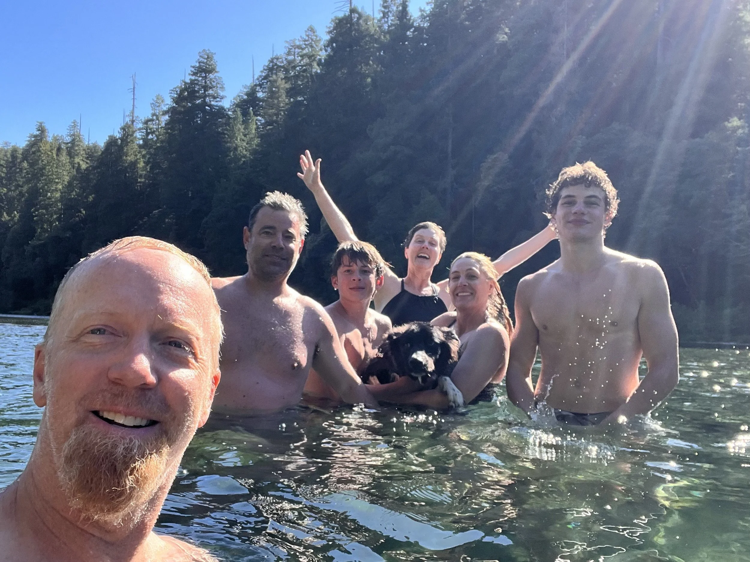 Redwoods Reflection 2025