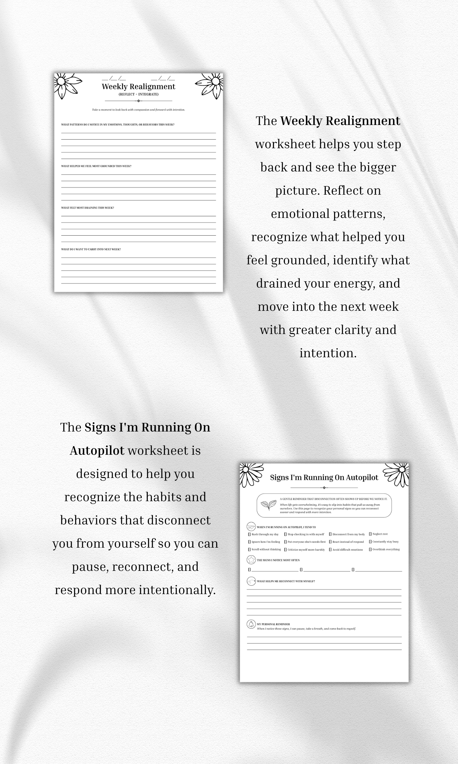 In Alignment(2).png