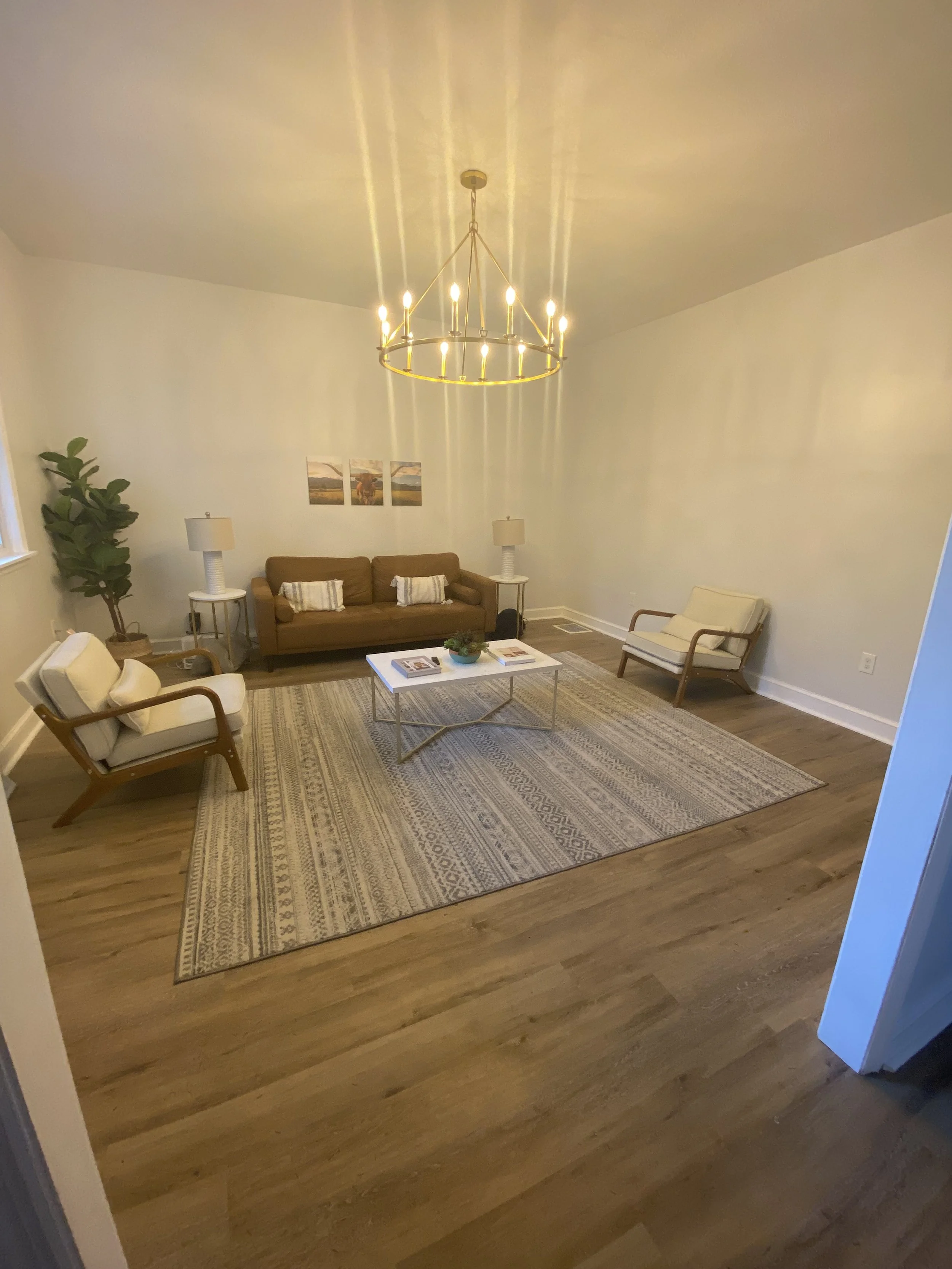 airbnb living room.jpg