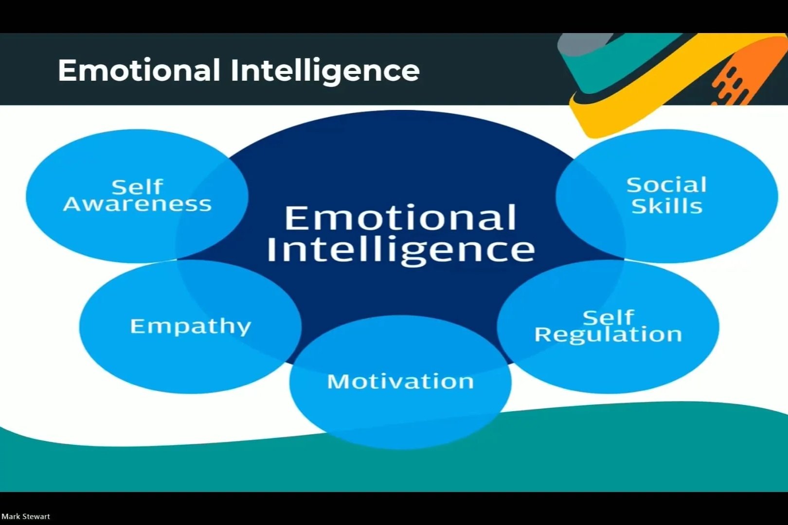 Relationships and Circles of Influence in Coaching