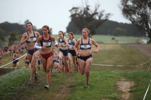 What Coaches Can Learn from the World’s Best Distance Runners ...