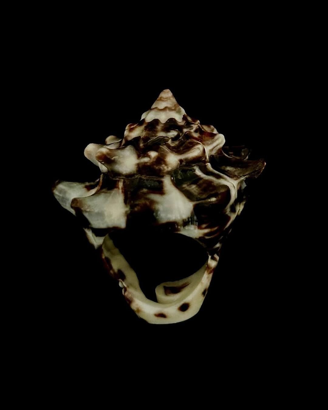 Midnight Tide shelly ring.