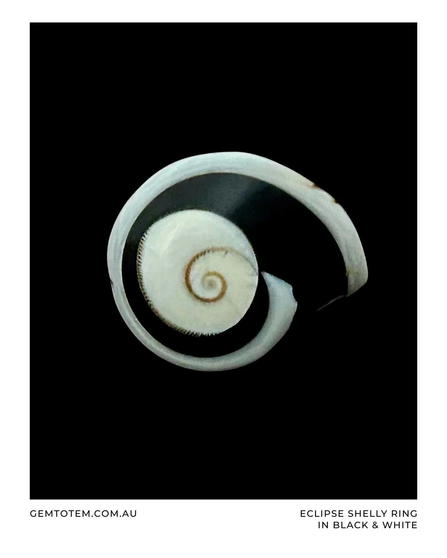 Eclipse shelly ring in black &amp; white. Carved from a genuine shell, made to stand out. 
Find it exclusively at gemtotem.com.au