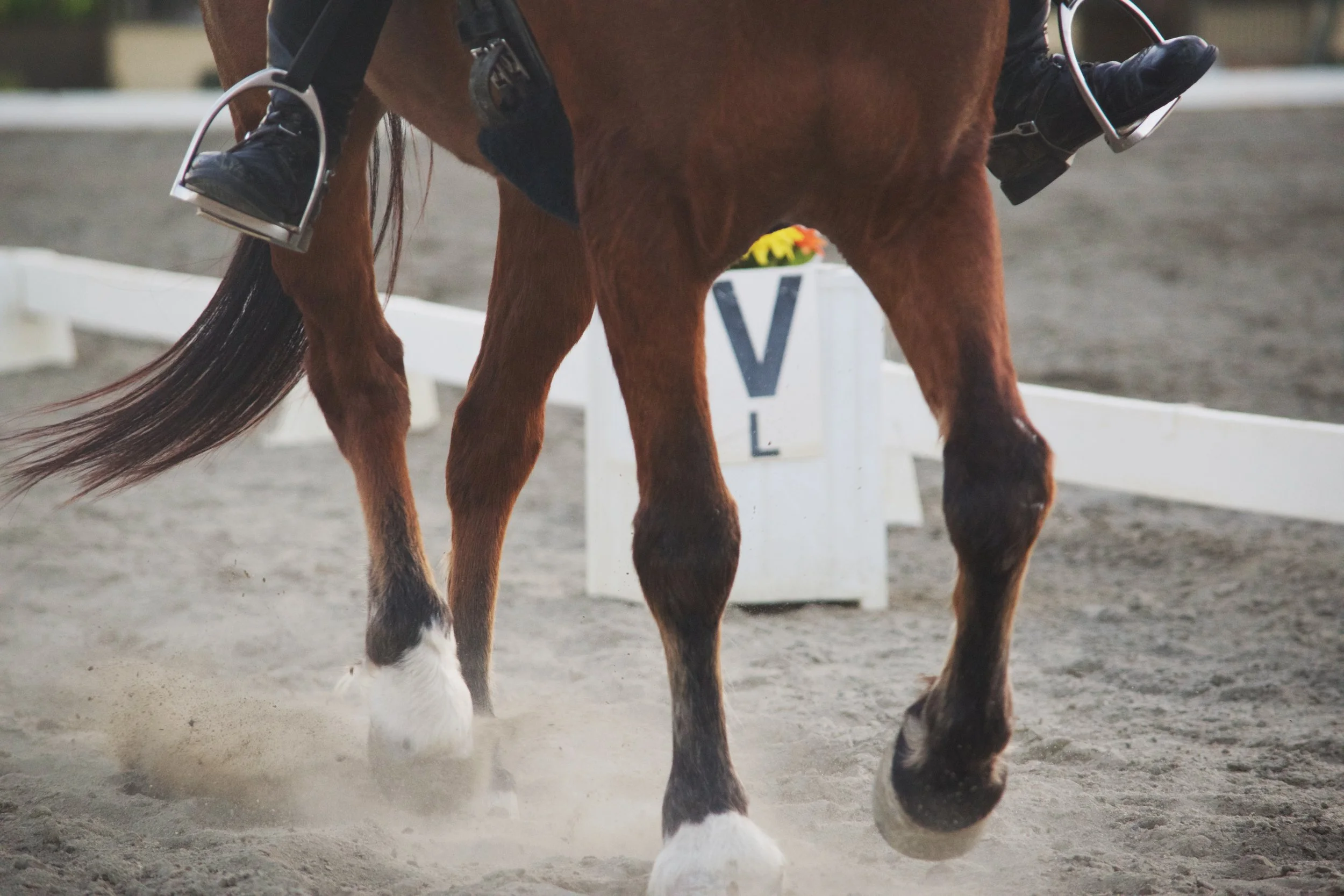 Results-hooves.jpg